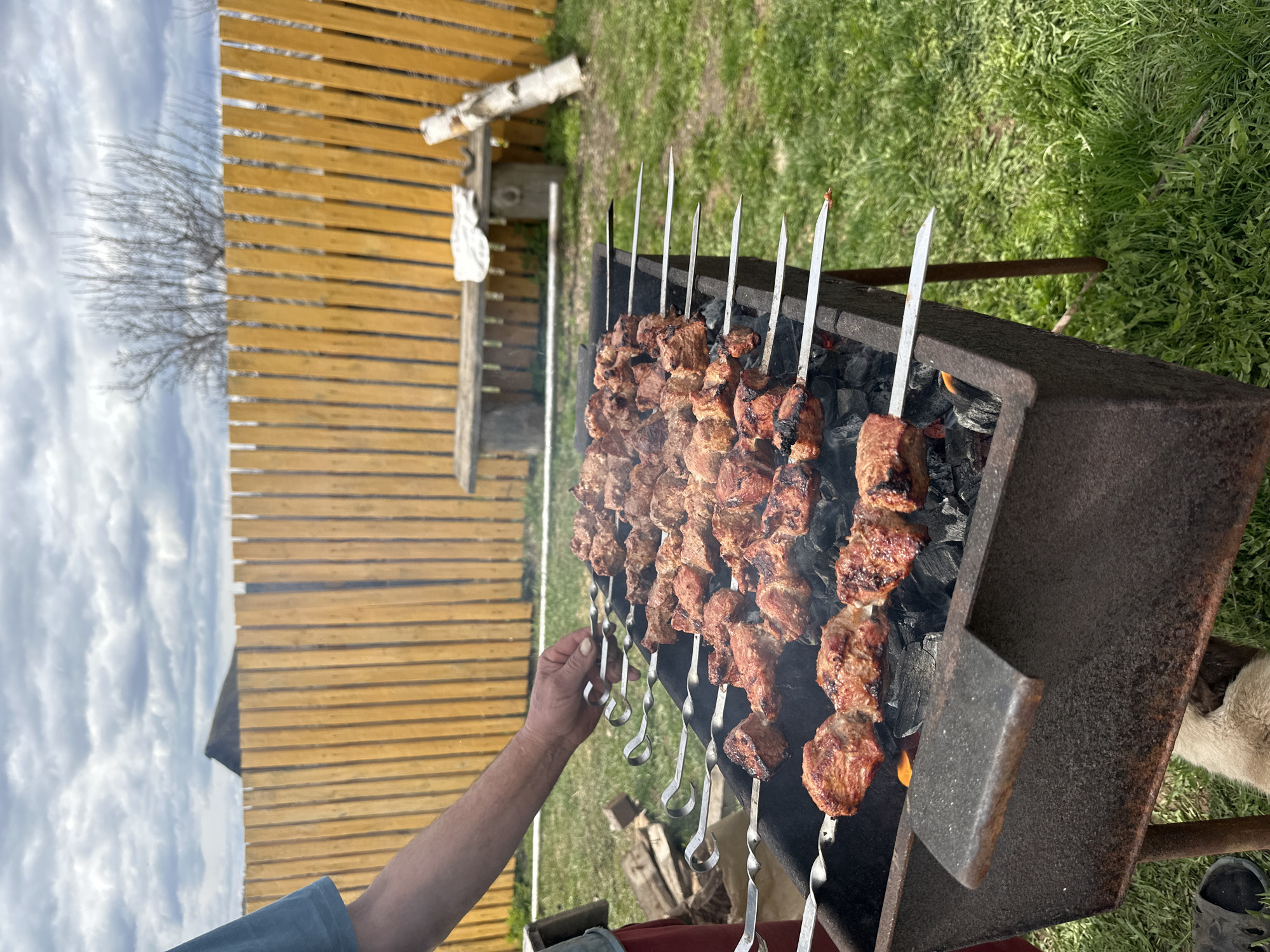Backyard barbecue and chicken tending documented in rural Russia