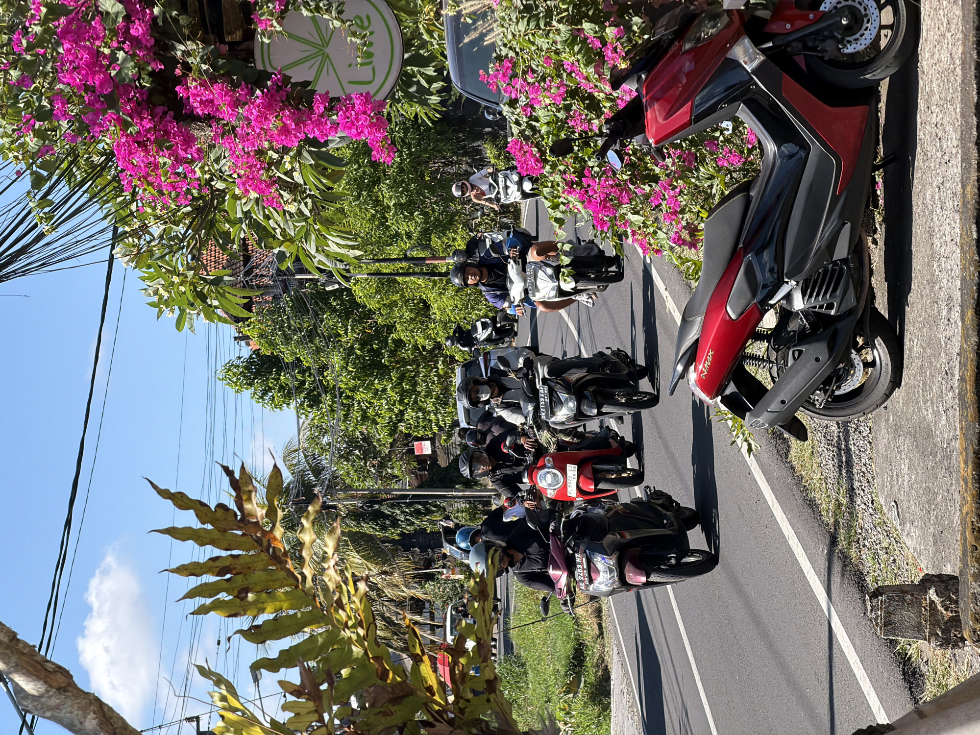 Everyday life in Mengwi: streets, geese, and roses
