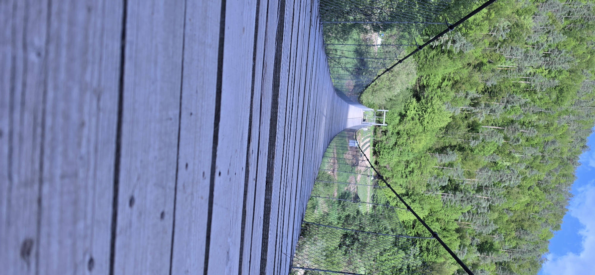 River and bridge views documented in Rustan, Bulgaria