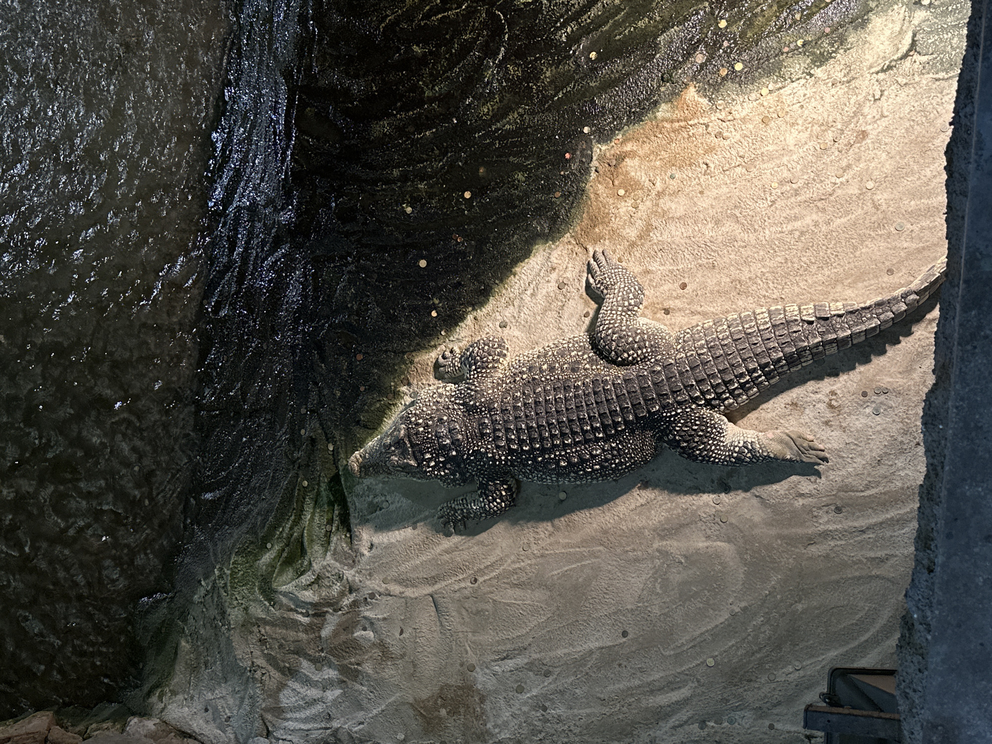 Afternoon walkthrough of Zagreb Zoo's reptile and wildlife exhibits