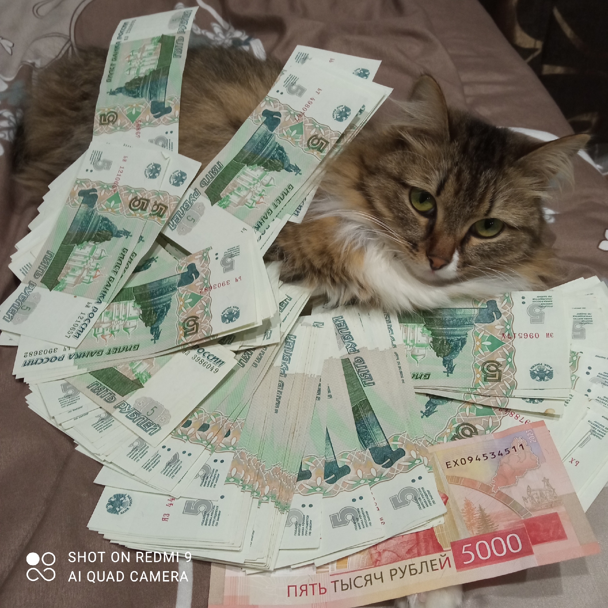 Ordinary life documented across Chaikovsky, Russia on spring evening
