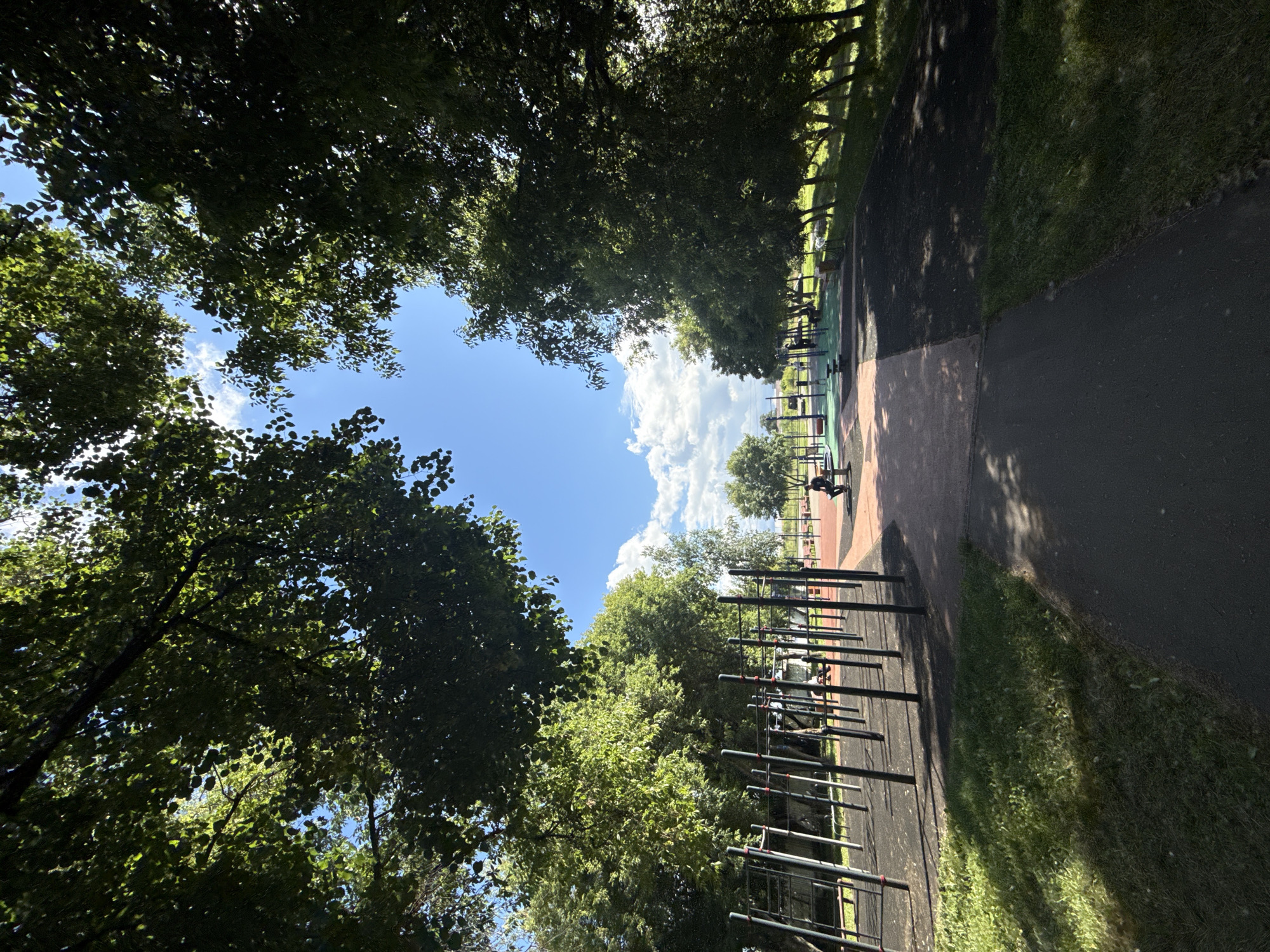 Lazy summer afternoon at a Moscow neighborhood park pond