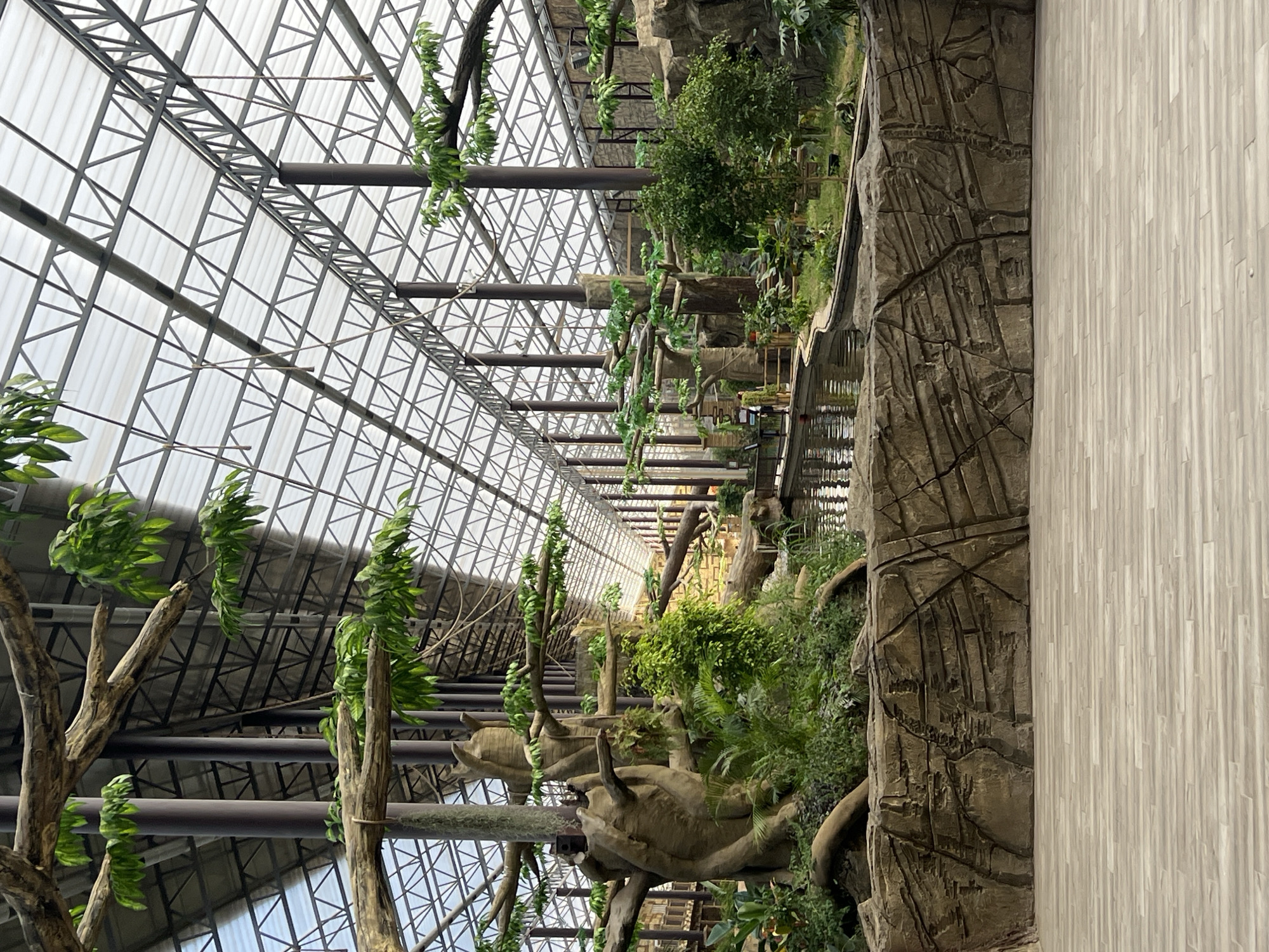 Summer morning at Moscow Zoo, indoors and out