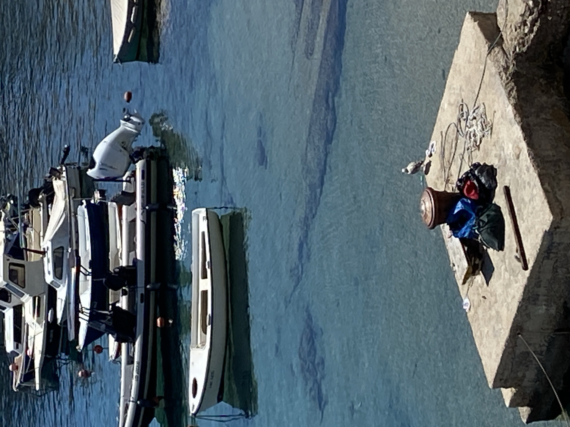 Midday in Dubrovnik's Old Town: harbor, palaces, and plazas
