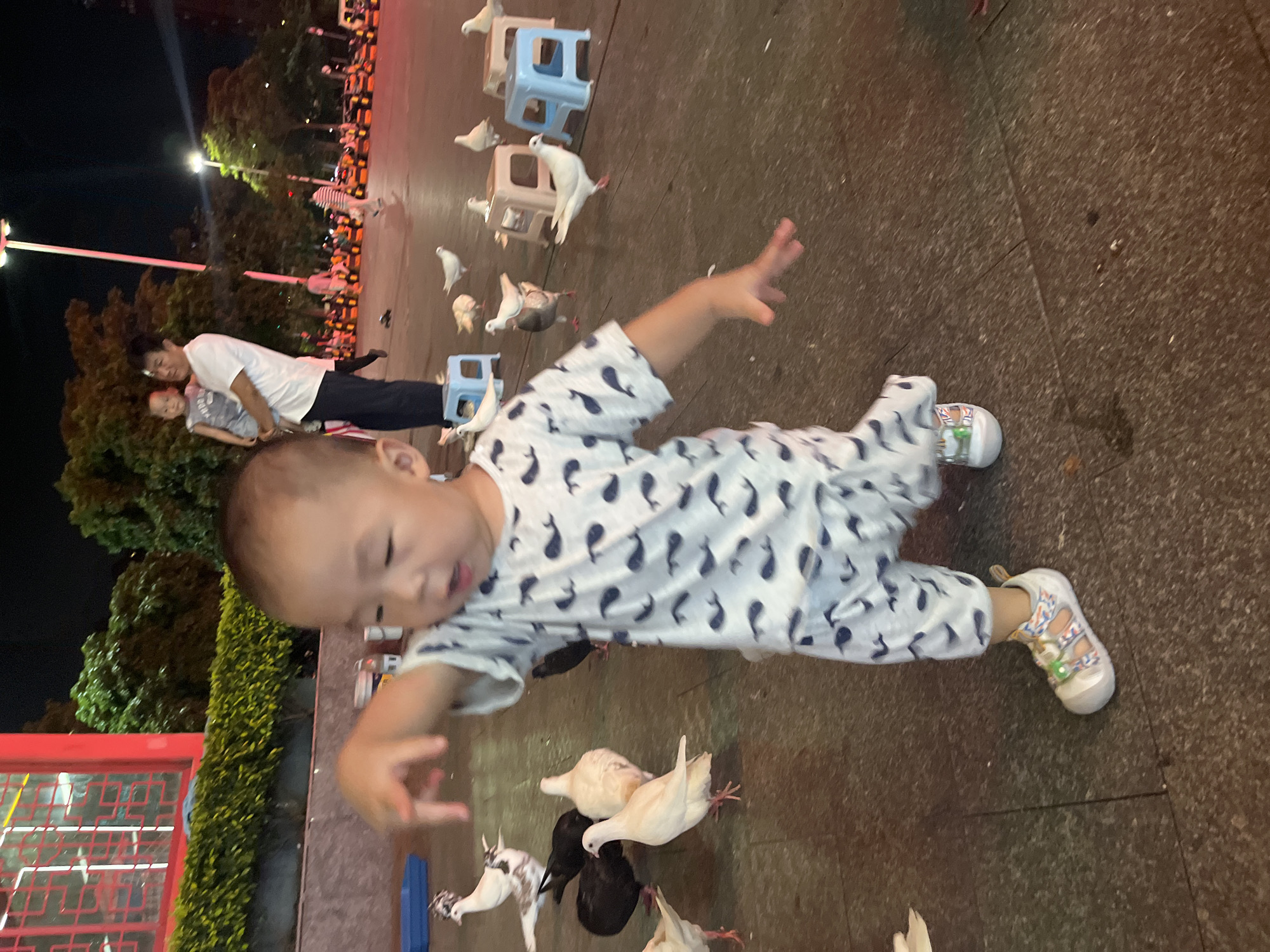 Feeding pigeons in a Chancheng District plaza