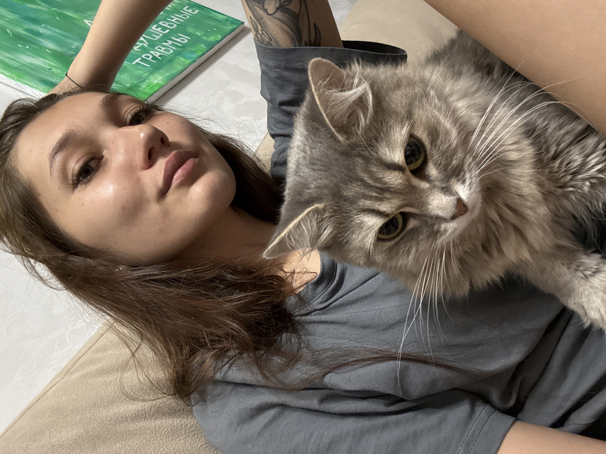 Lazy evening on the couch with a grey cat in Novokuznetsk