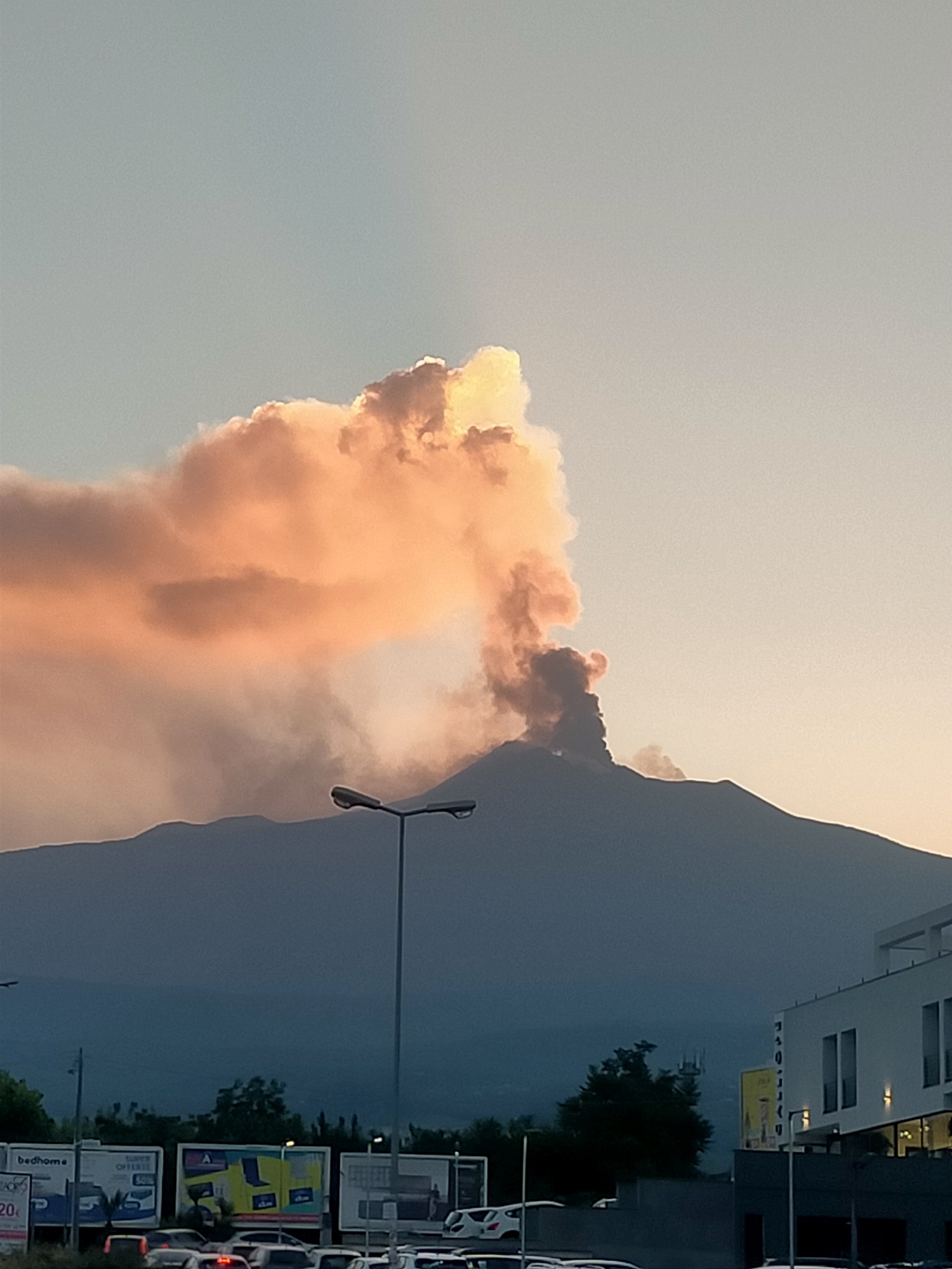 Volcanic eruption looms behind sunlit cycad palms