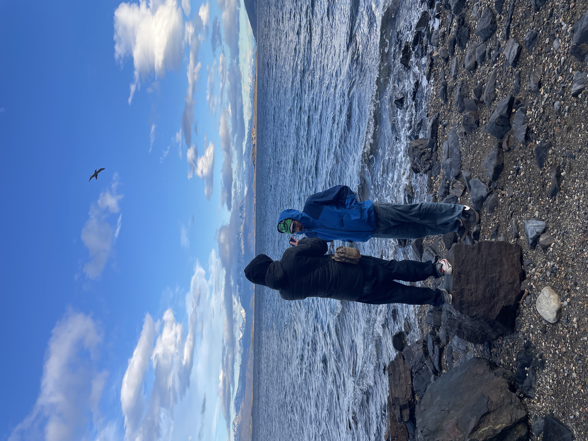 Tourist documents wildlife, coastal scenes in Ushuaia Argentina