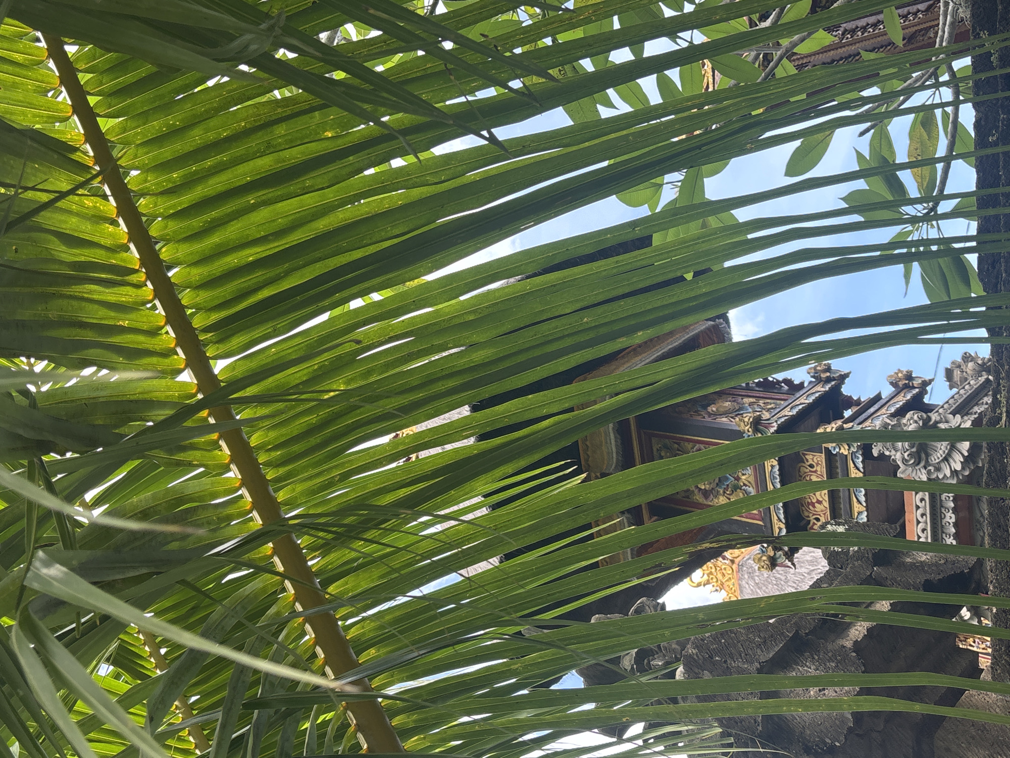 Tourist captures casual walking tour through North Kuta, Bali