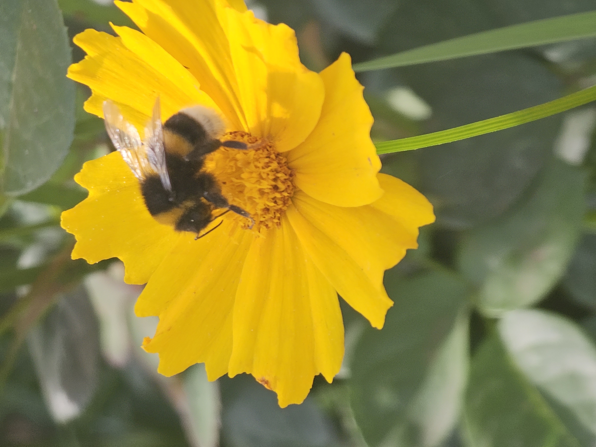 Garden wildlife, sport, and waterfront dining in Khimki