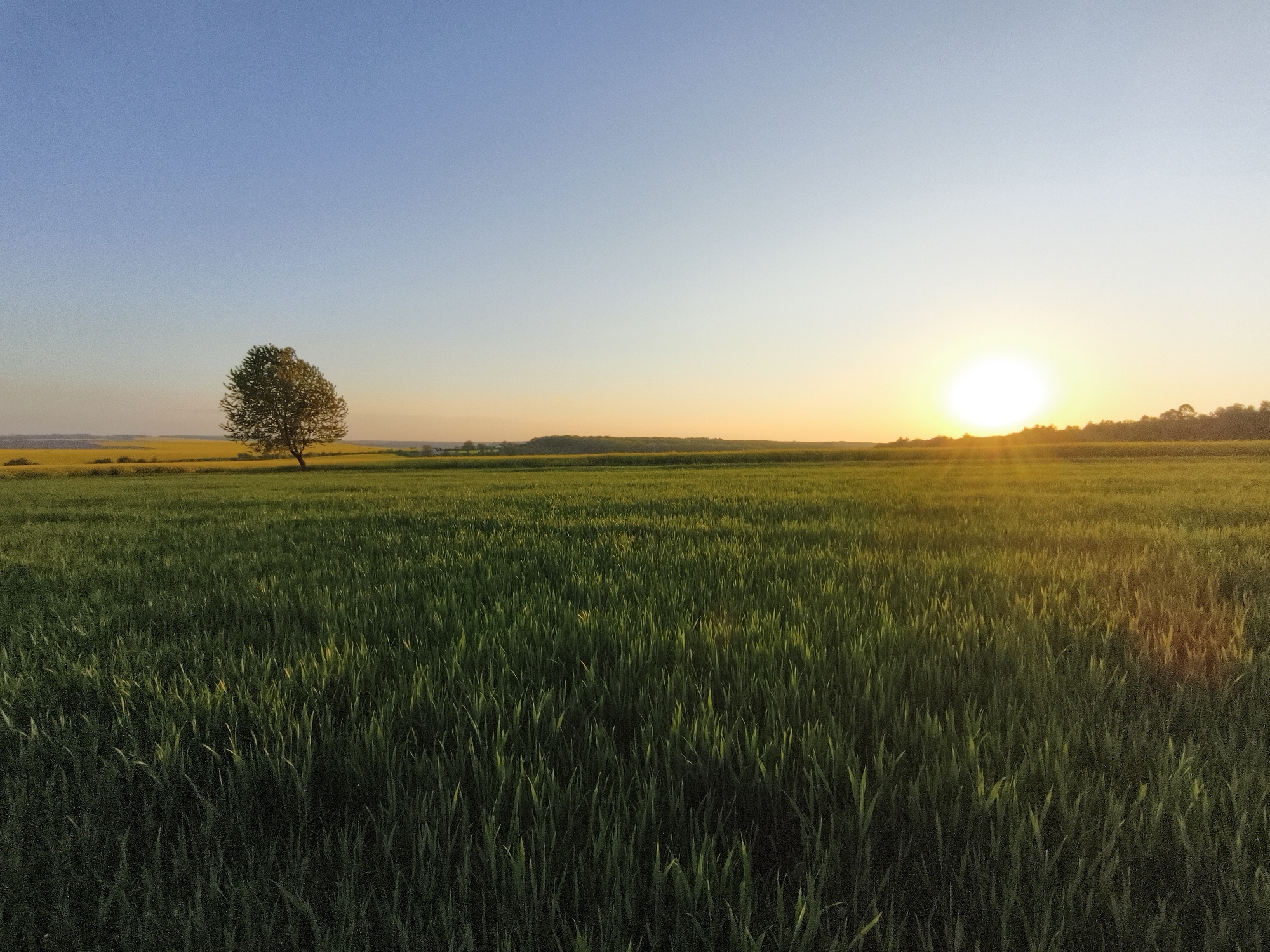 Sunset documented over rural fields near Kopychyntsi, Ukraine