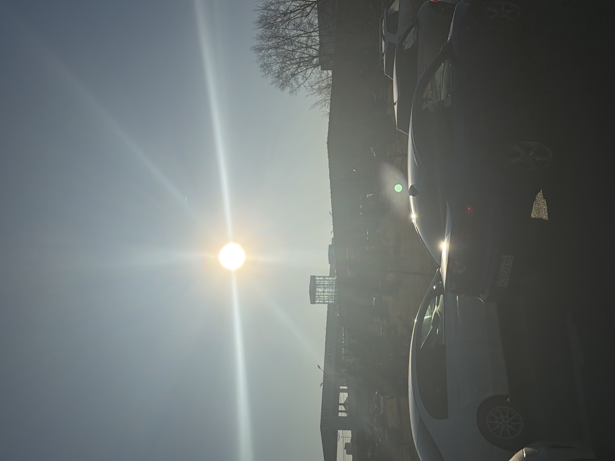 Sunny morning documented at Krasnoyarsk bus stop