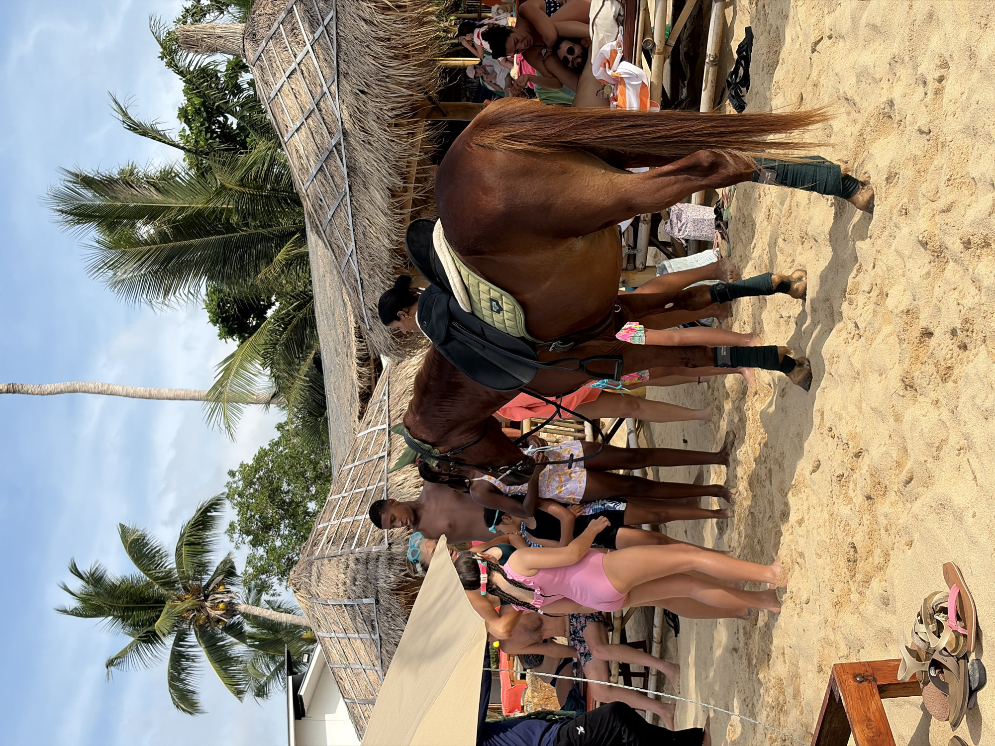 Saddled horse and beach vibes on a Ko Samui morning