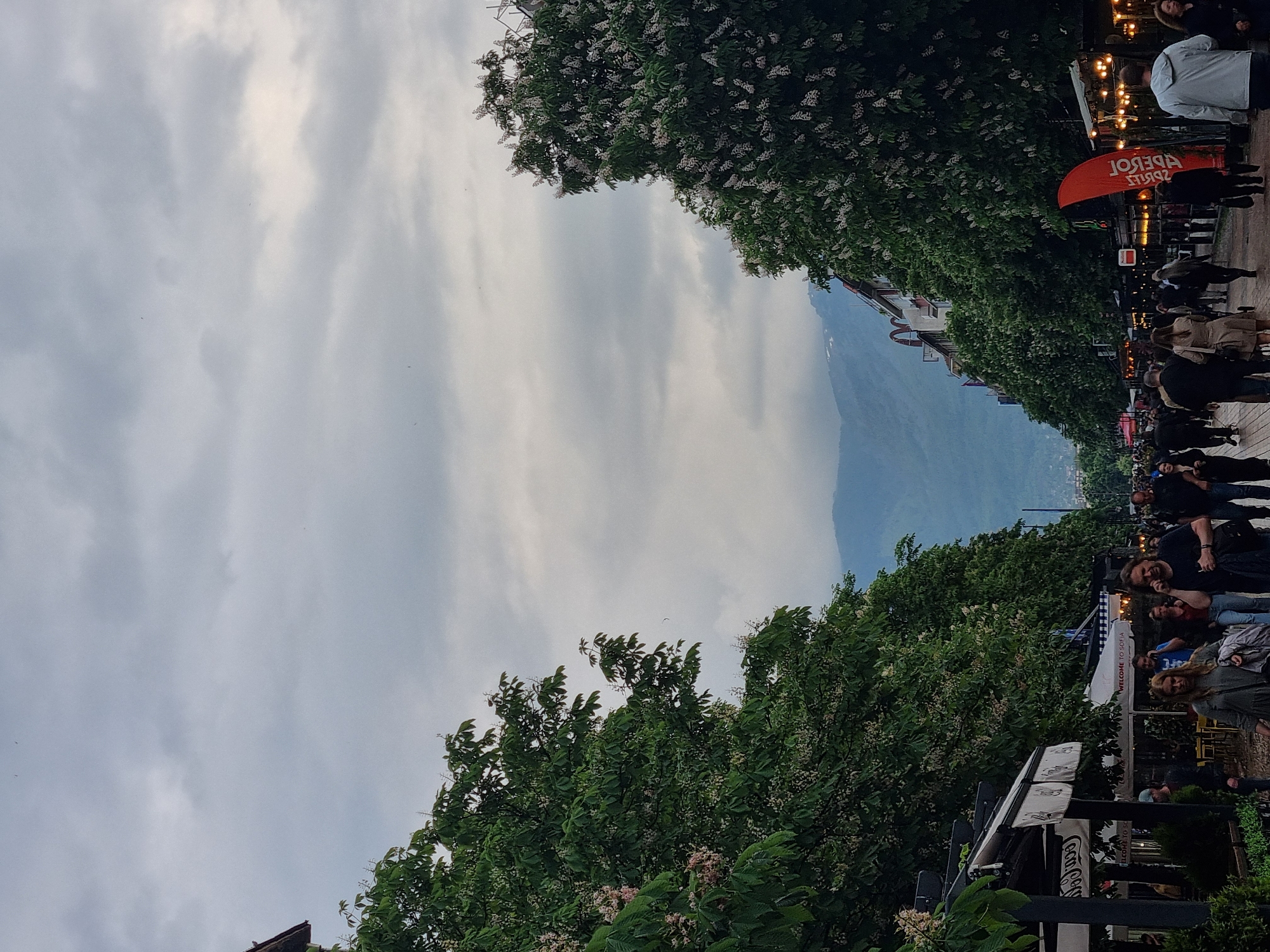 Pedestrians stroll tree-lined Sofia street under overcast skies