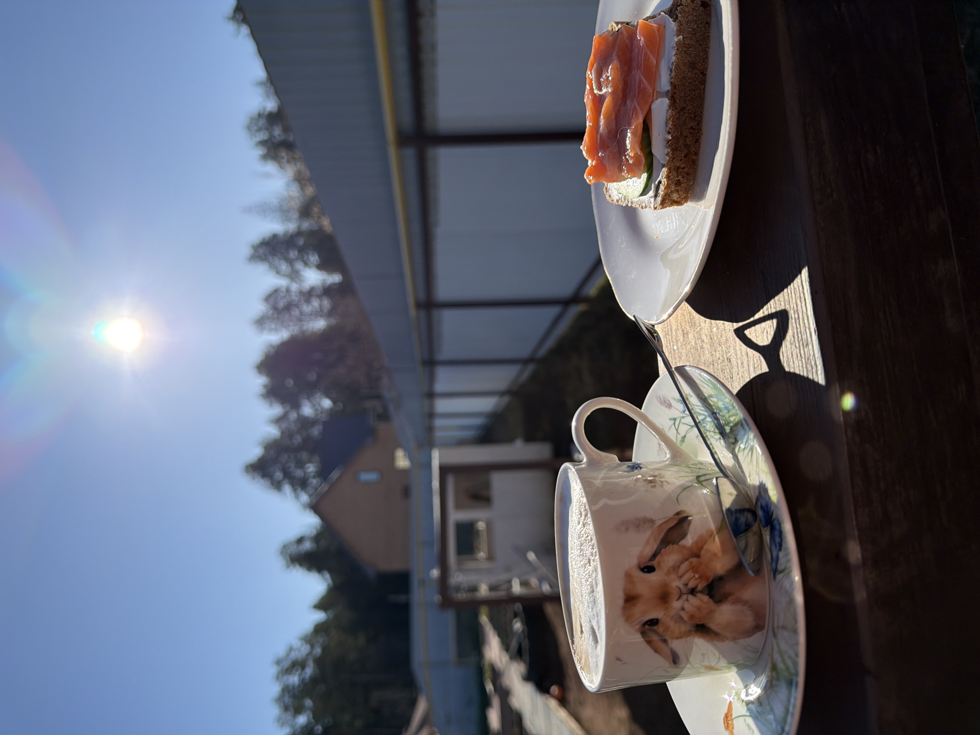 Morning coffee and salmon sandwich breakfast in Chaikovsky, Russia