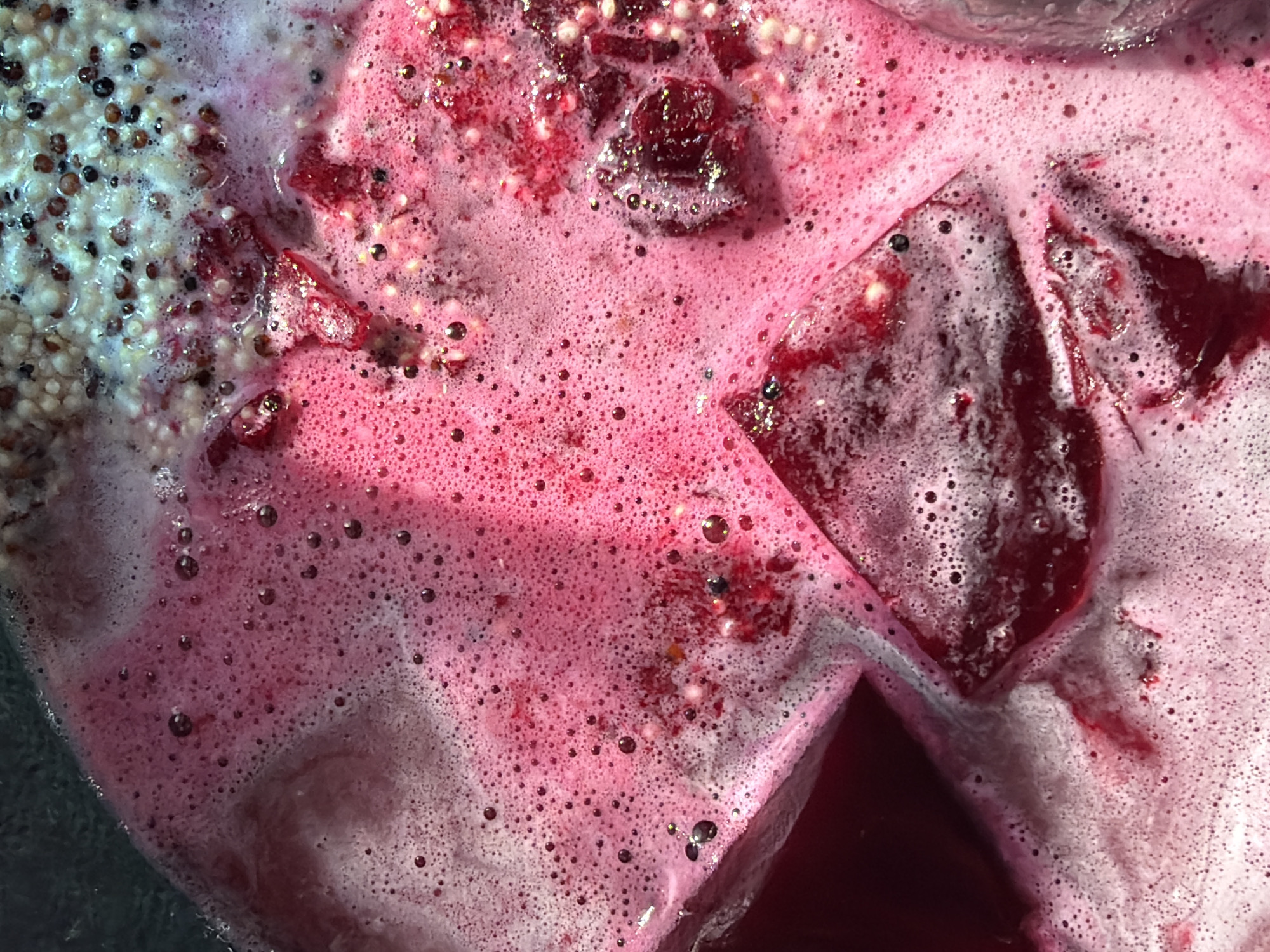 Beetroot cooking session documented in Krasnoyarsk kitchen