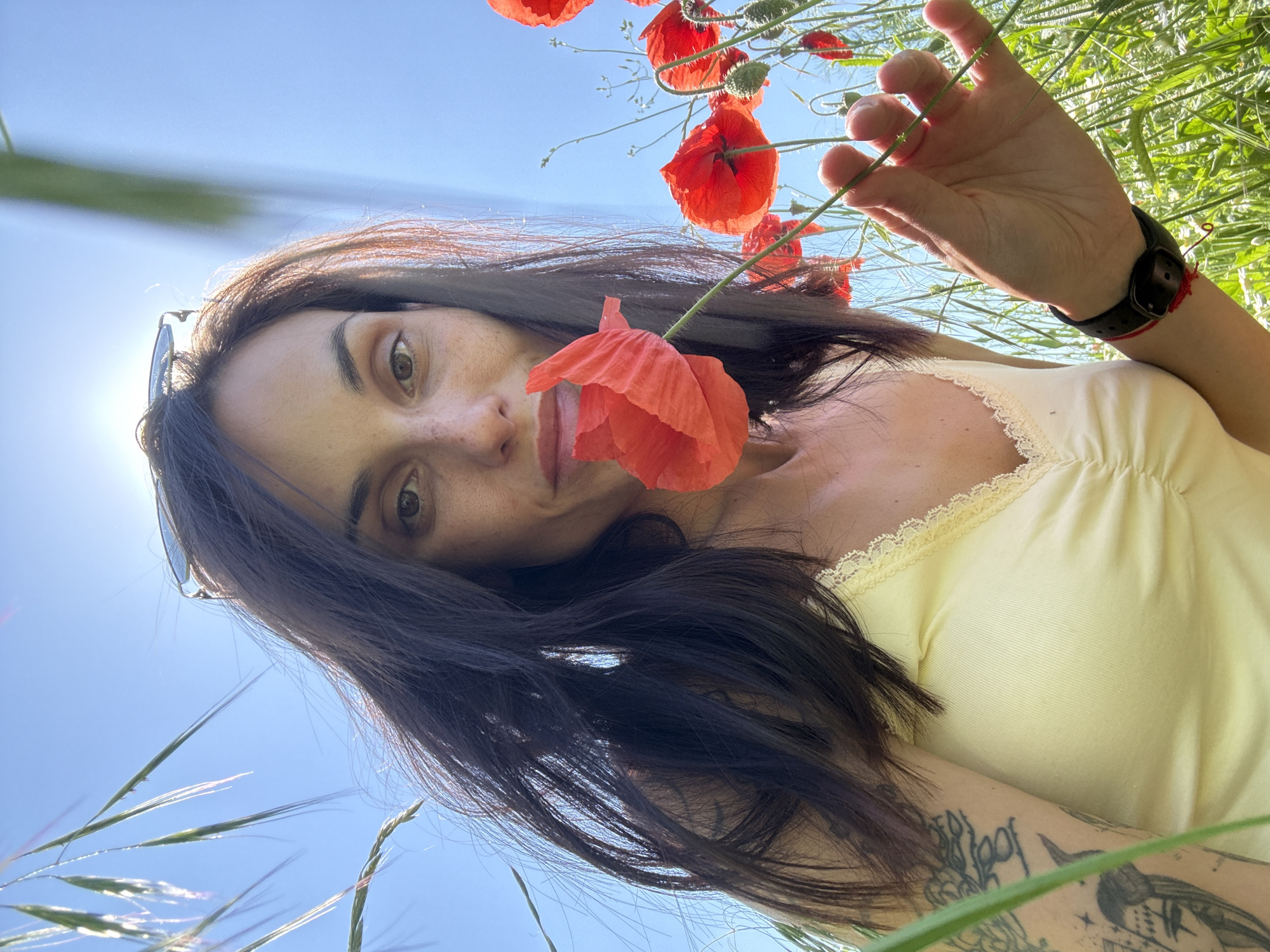 Woman photographs herself in poppy field near Pleven, Bulgaria