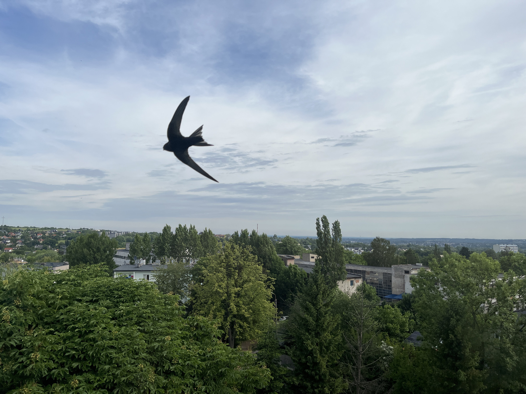 Morning coffee moment overlooking urban landscape captured in sequence