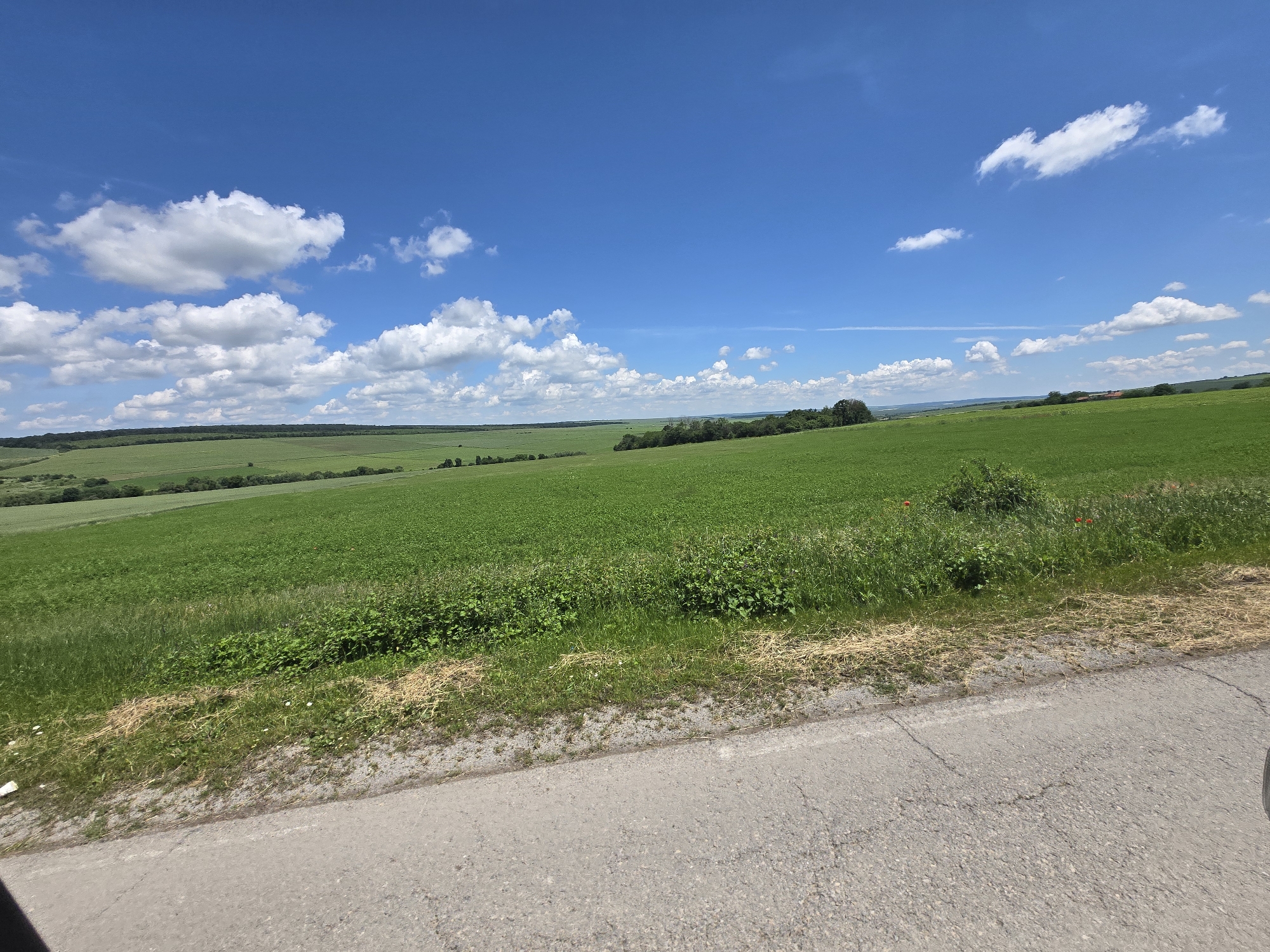 Rural road trip documented through countryside and farm scenes
