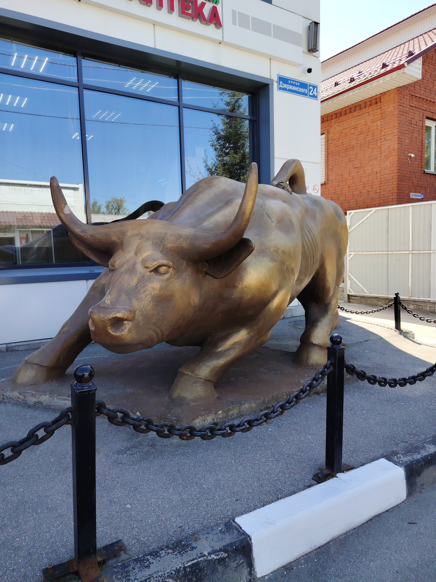Morning observations capture urban scenes, statues, and green spaces