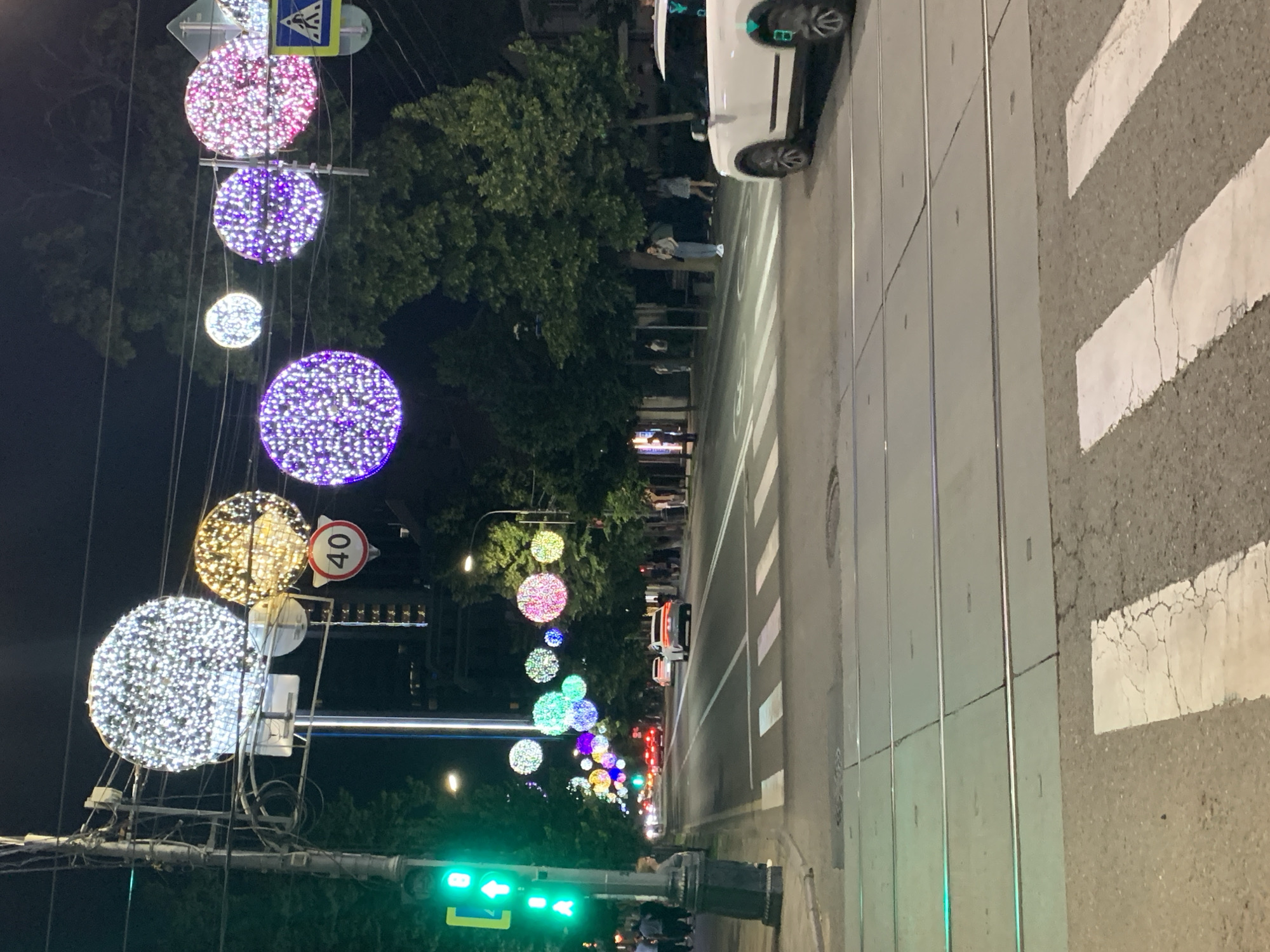 A night out: city streets, blooms, lights, and street life
