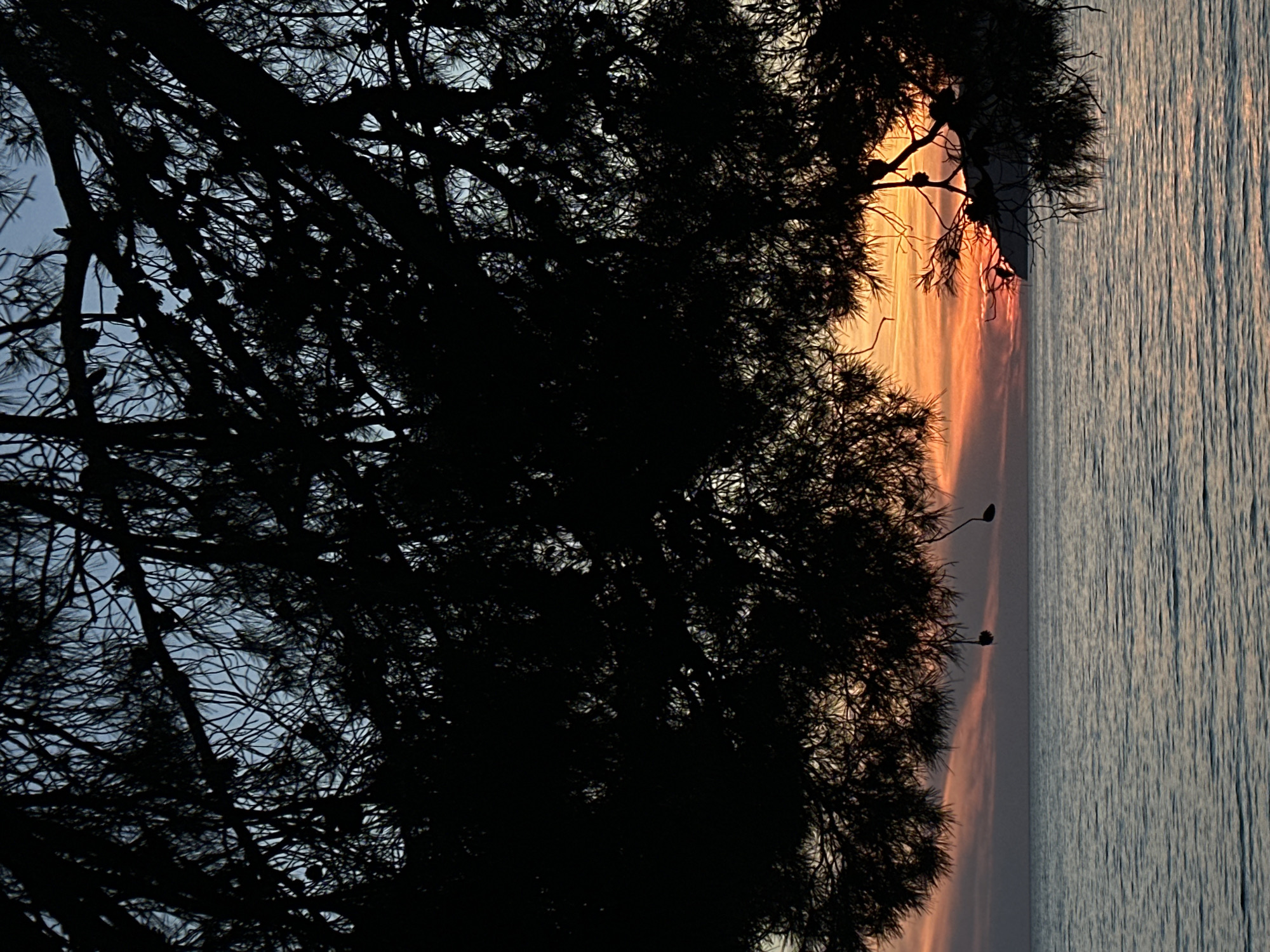 Peaceful evening moments captured along Montenegro's Adriatic coast