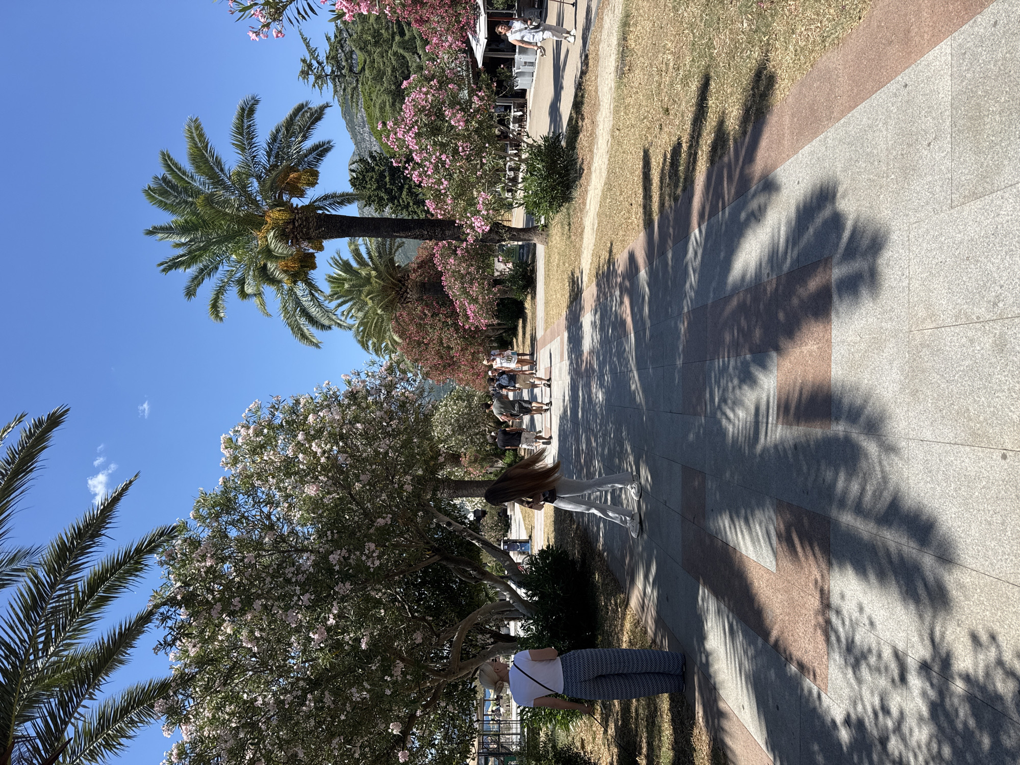 Bar, Montenegro's palm-lined promenade on a sunny summer afternoon