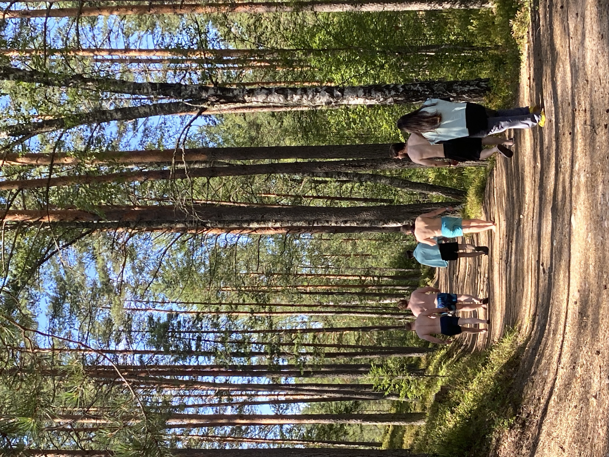 Leipyasuo, Russia