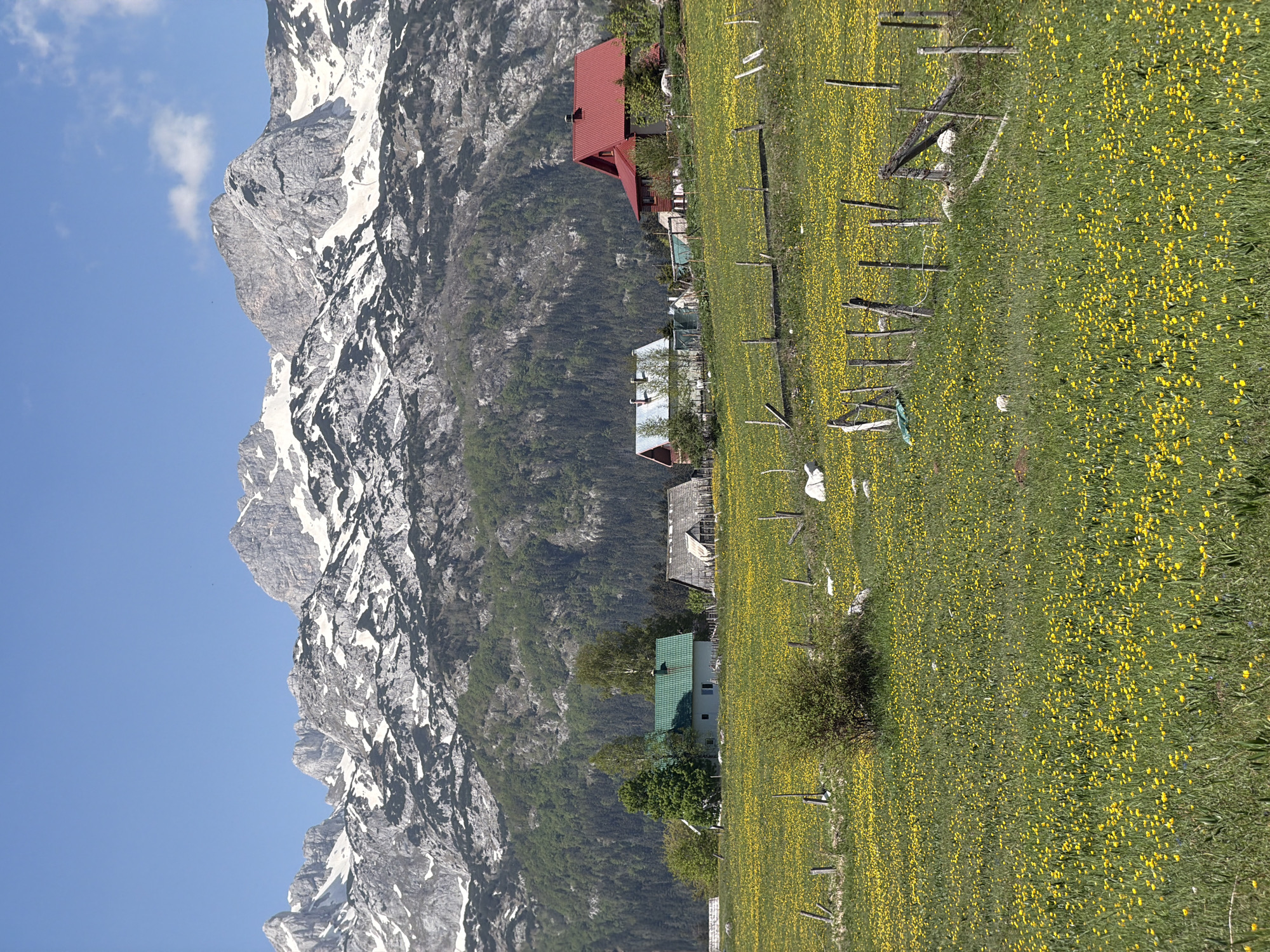 Morning mountain excursion documented in Žabljak, Montenegro