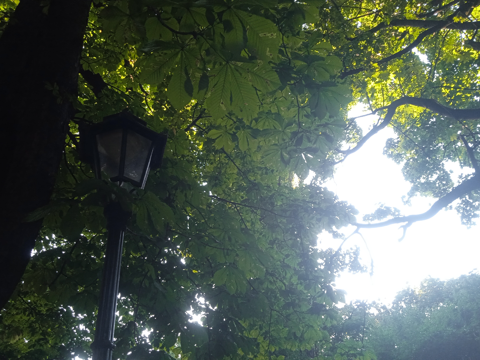 Afternoon in a European city square, streets, and parks
