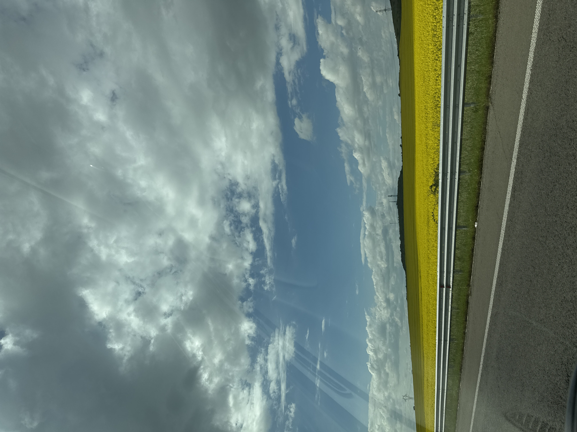 Motorist captures yellow flower fields near Bulgarovo, Bulgaria