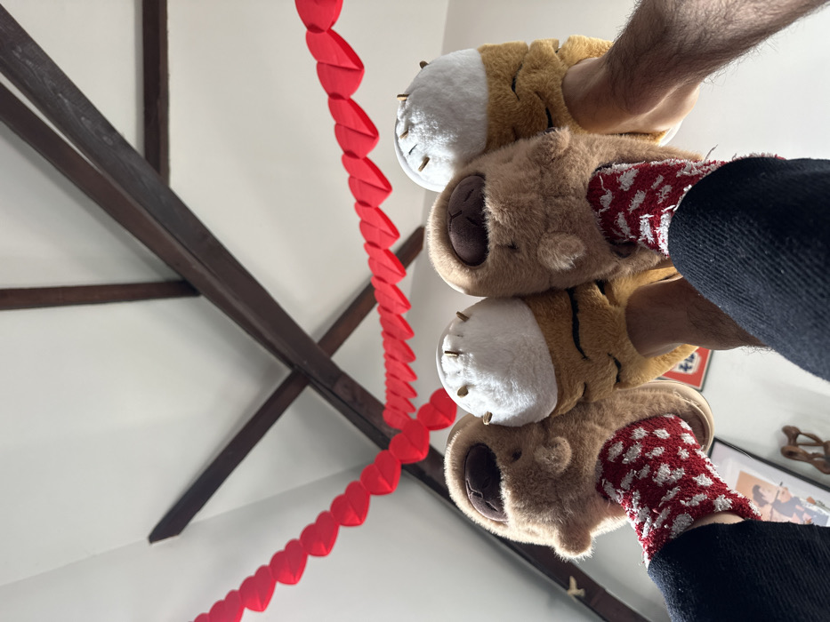 Couple's Valentine's Day celebrated in Carnin home with gifts, food