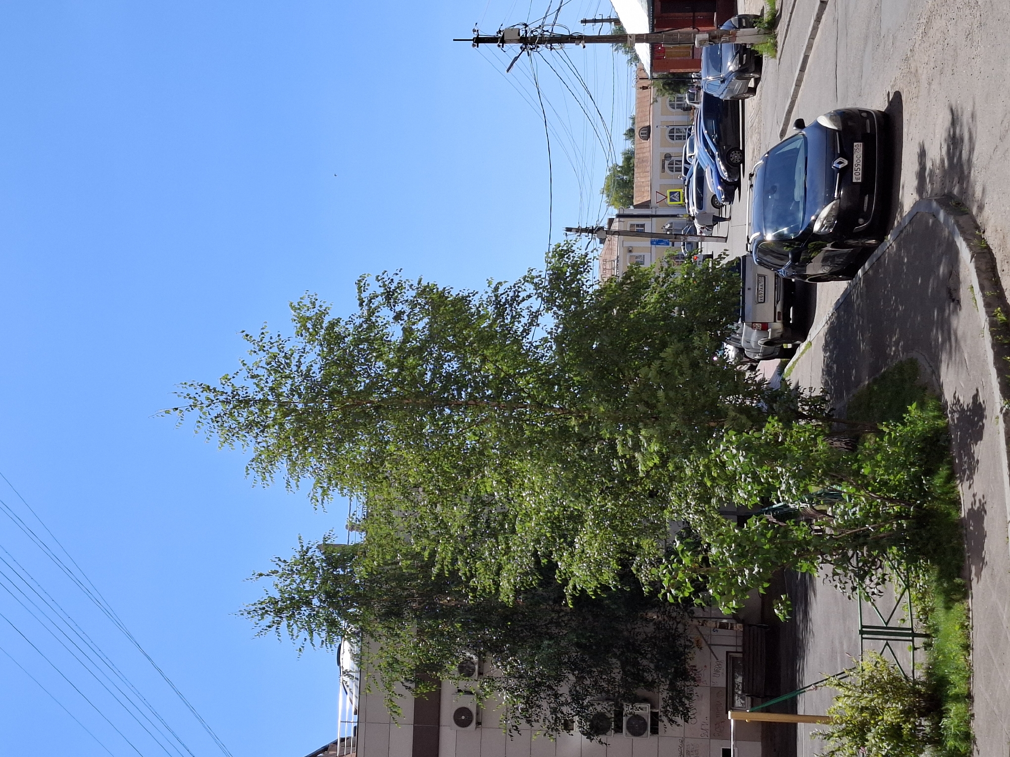 Ordinary street activity on a sunny urban morning