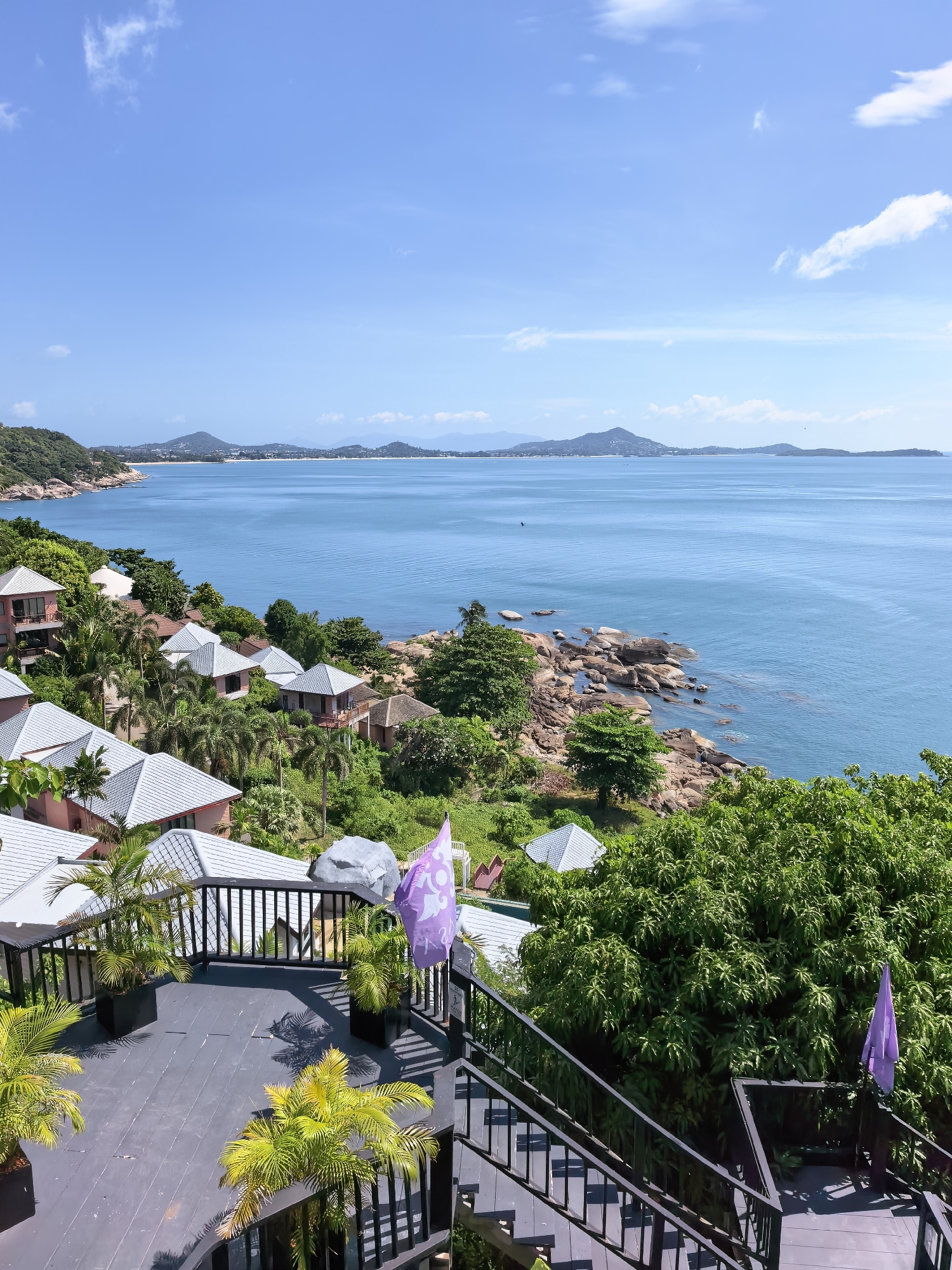 Winding coastal road and ocean-view bar in a tropical hillside setting