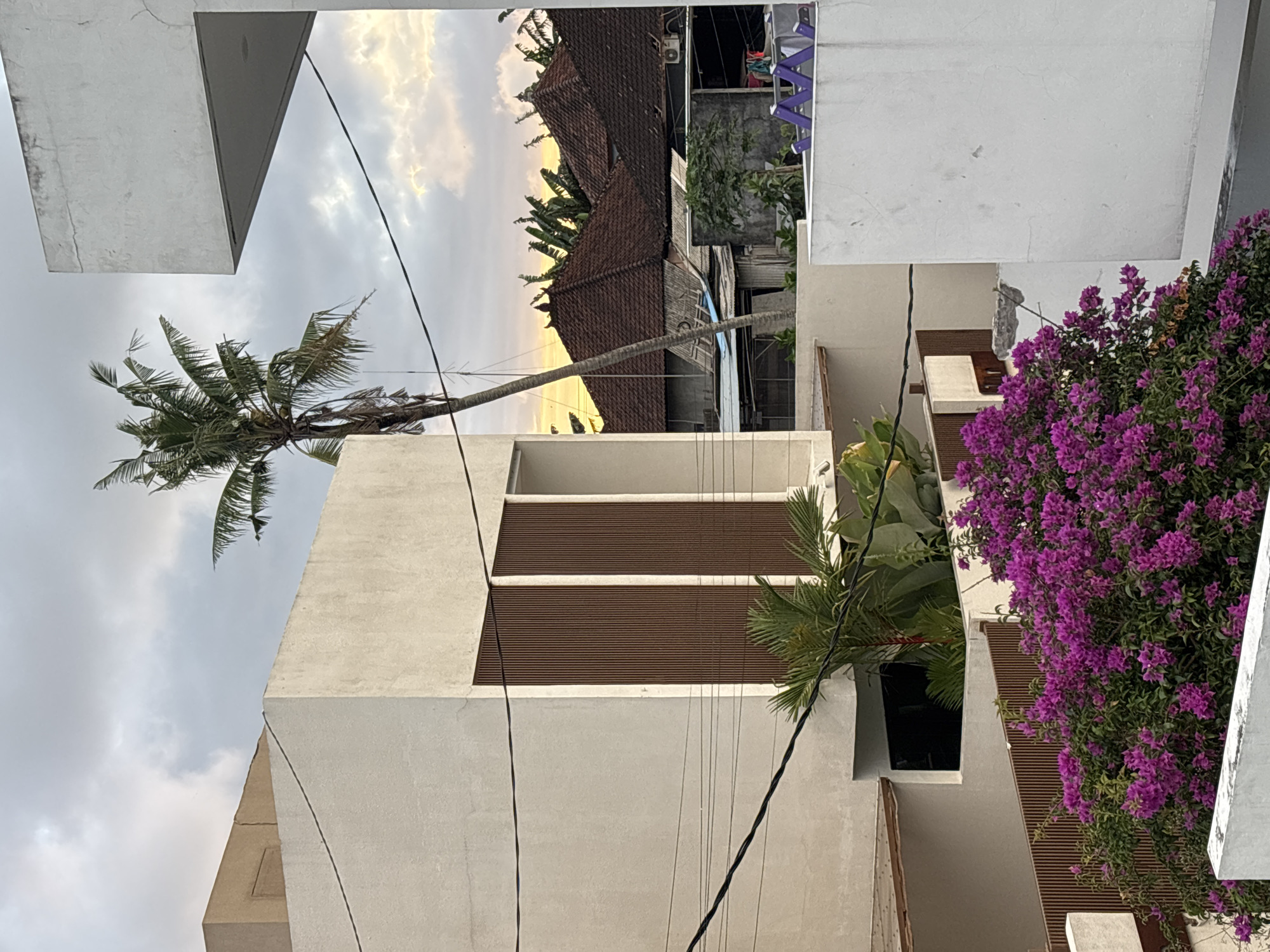 Morning snapshots of domestic life in Mengwi, Indonesia