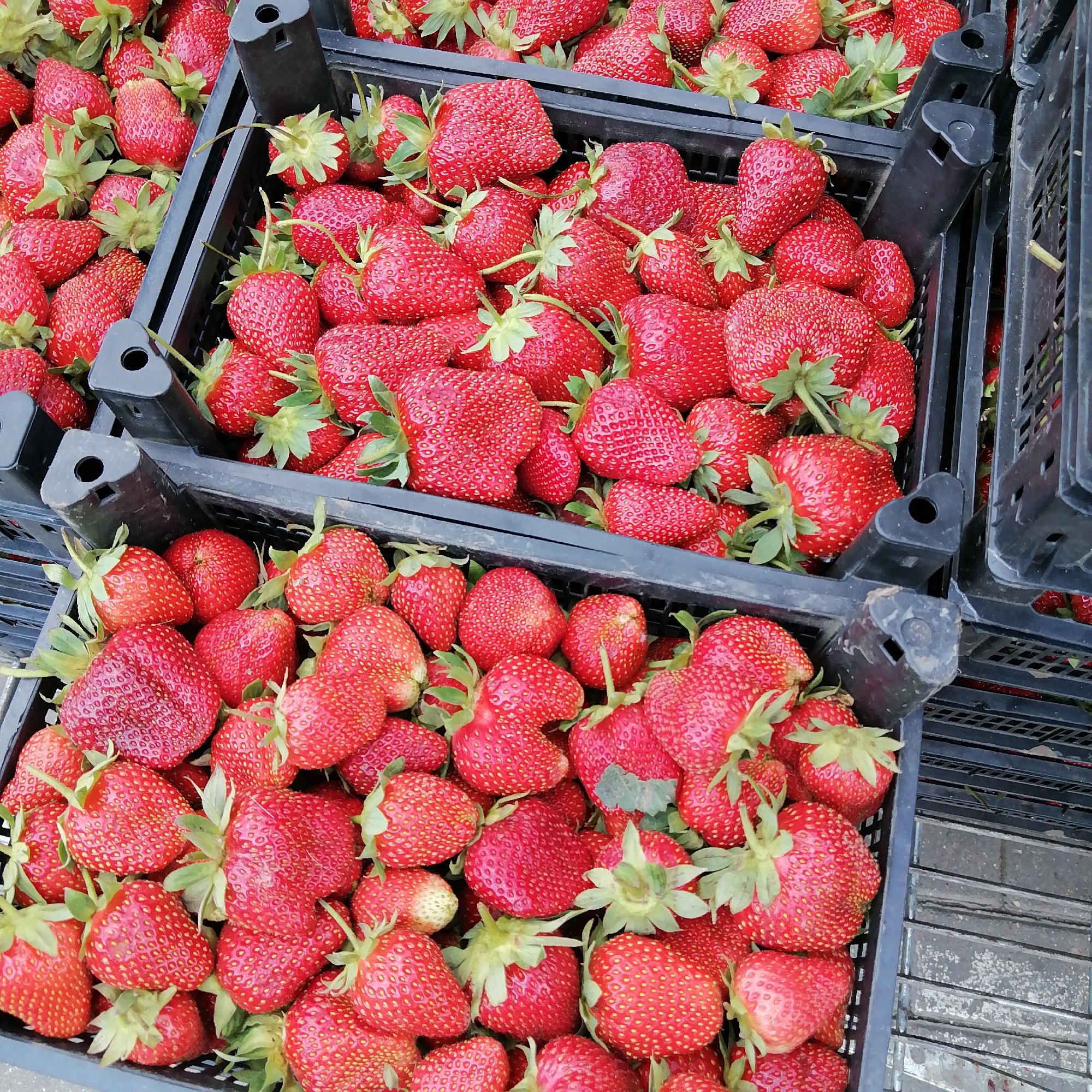Outdoor market bustling with produce vendors and shoppers