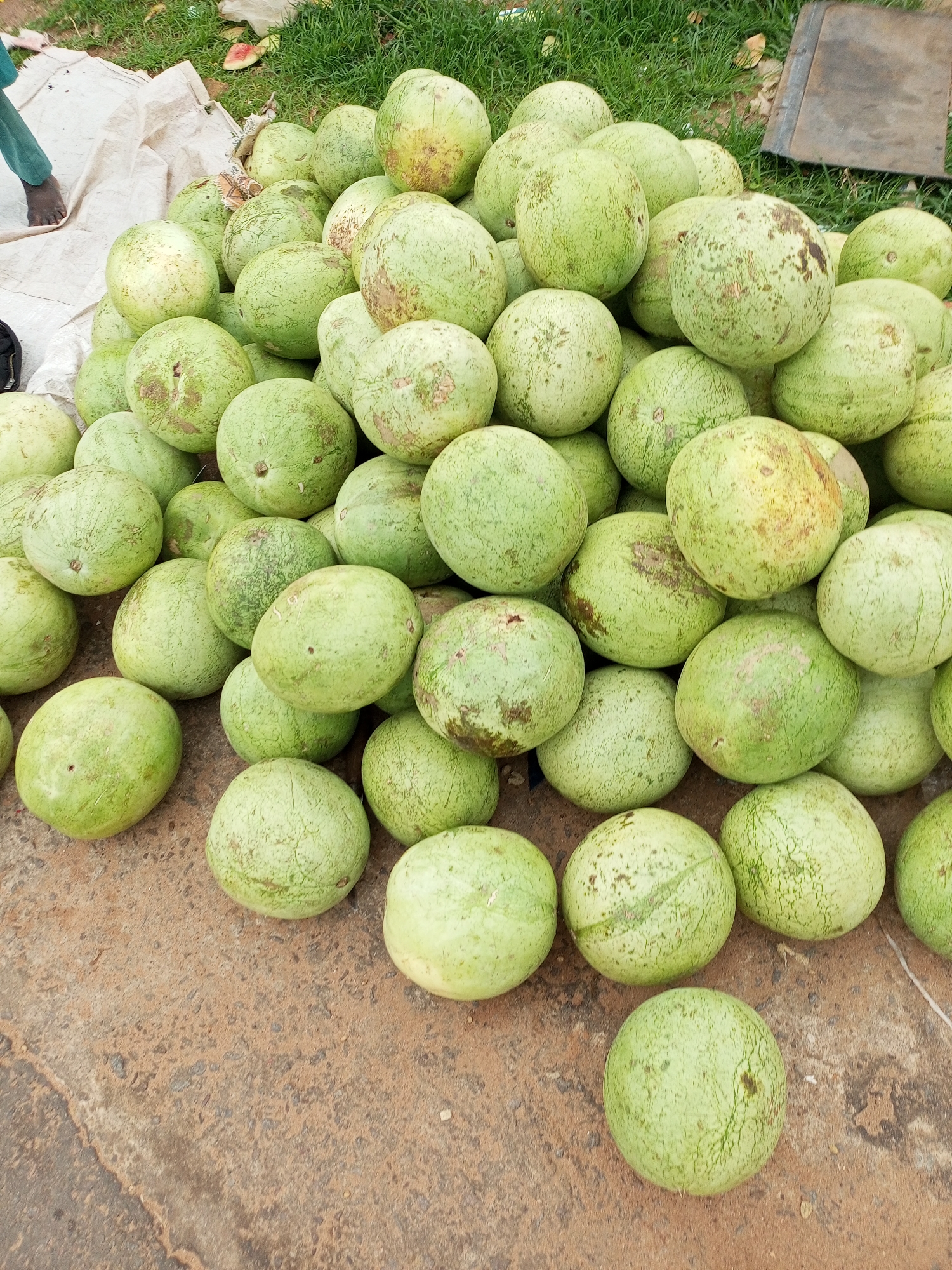 Busy outdoor market with watermelons, motorcycles, and street activity.
