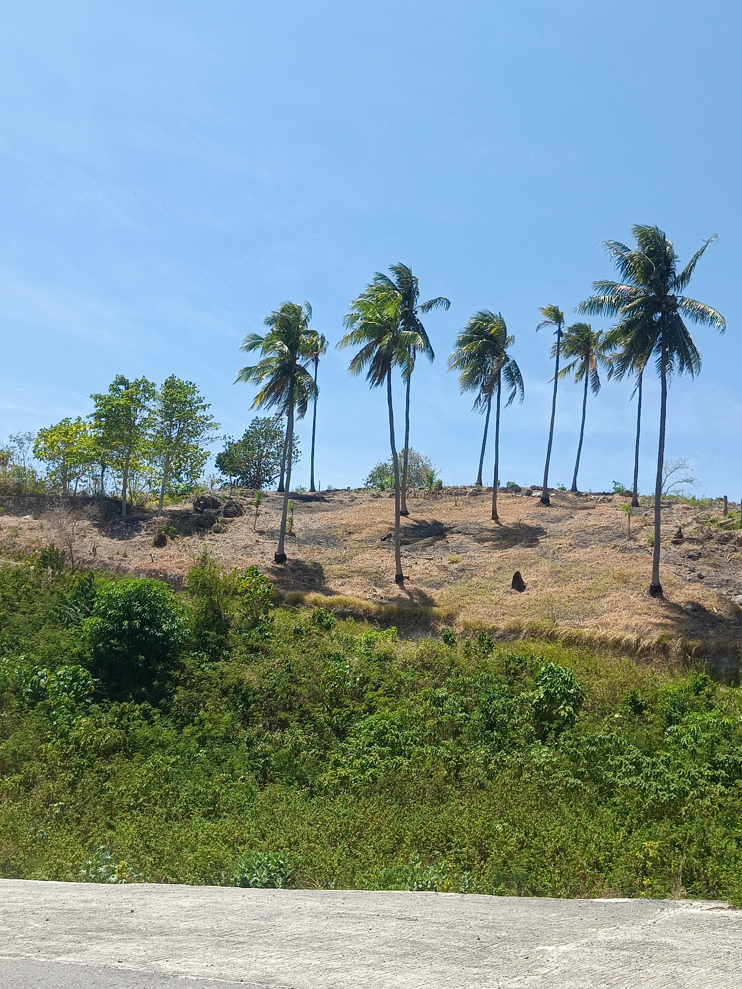 Winding hillside roads and a coastal glimpse near Gorontalo