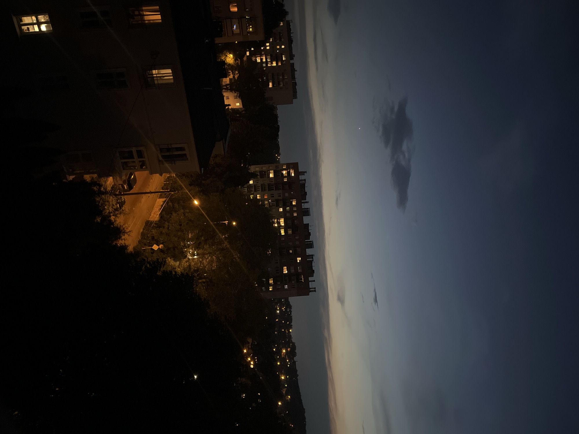 City lights at dusk from a rooftop perch