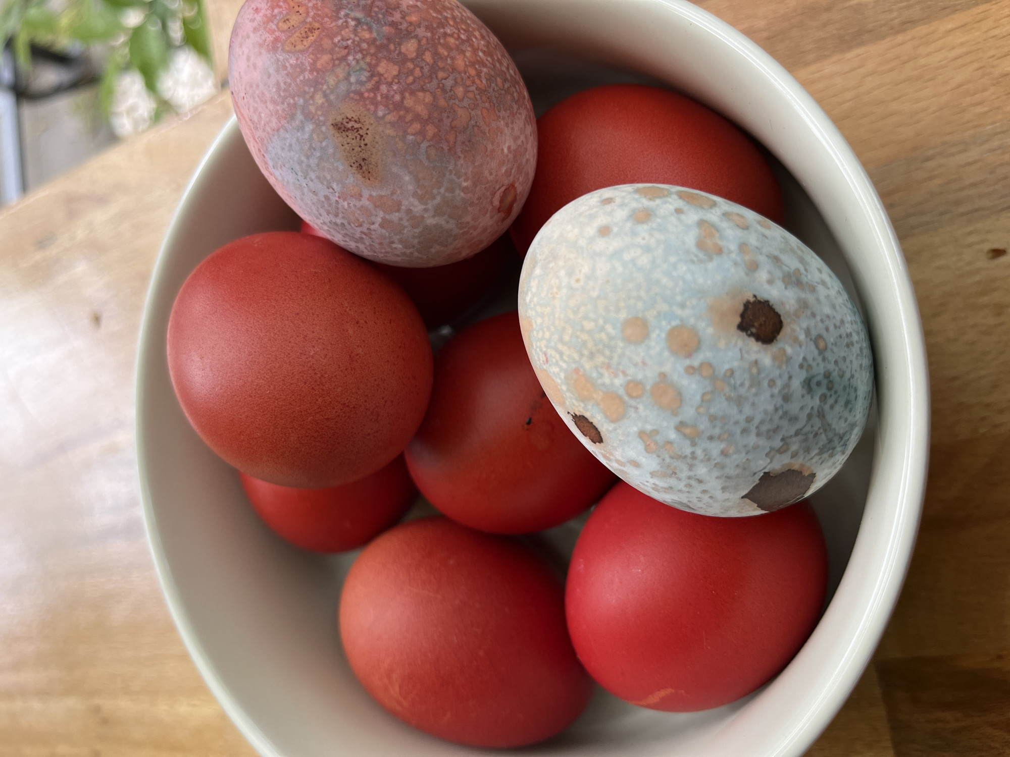 Easter celebrations observed across Novi Sad with decorating, treats