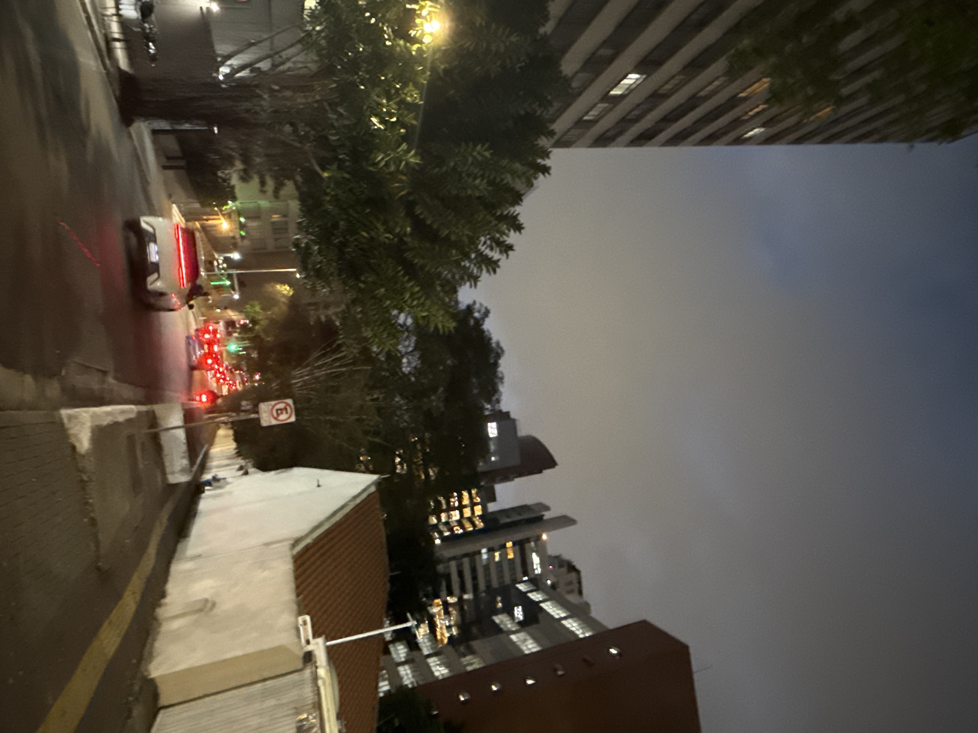 Evening life documented along São Paulo's Avenida Paulista district