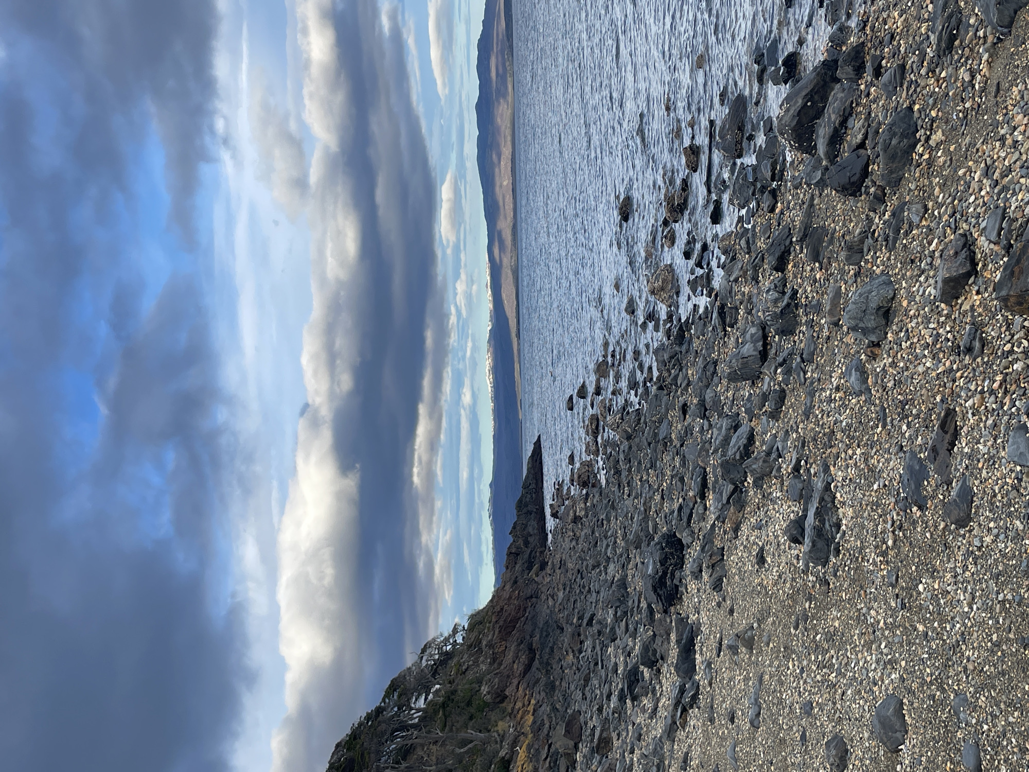 Visitors explore Ushuaia's dramatic coastline during afternoon excursion