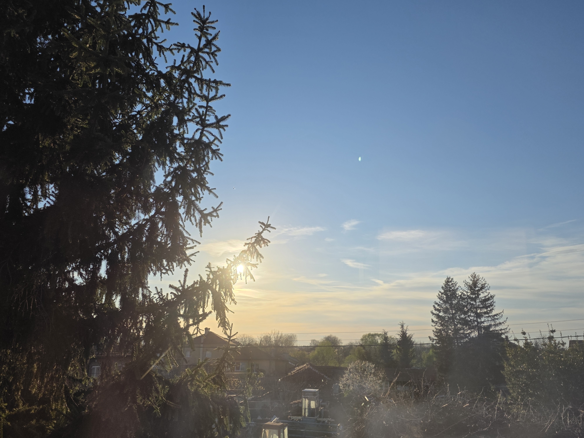 Sunlight filters through evergreen tree in Yagodovo window view