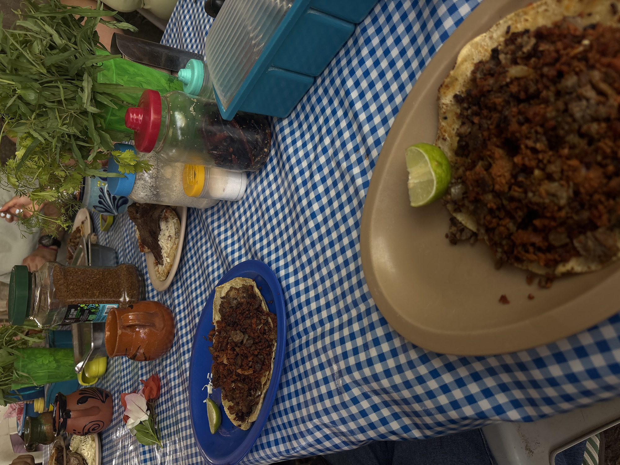 Casual outdoor dining observed in Chilpancingo restaurant