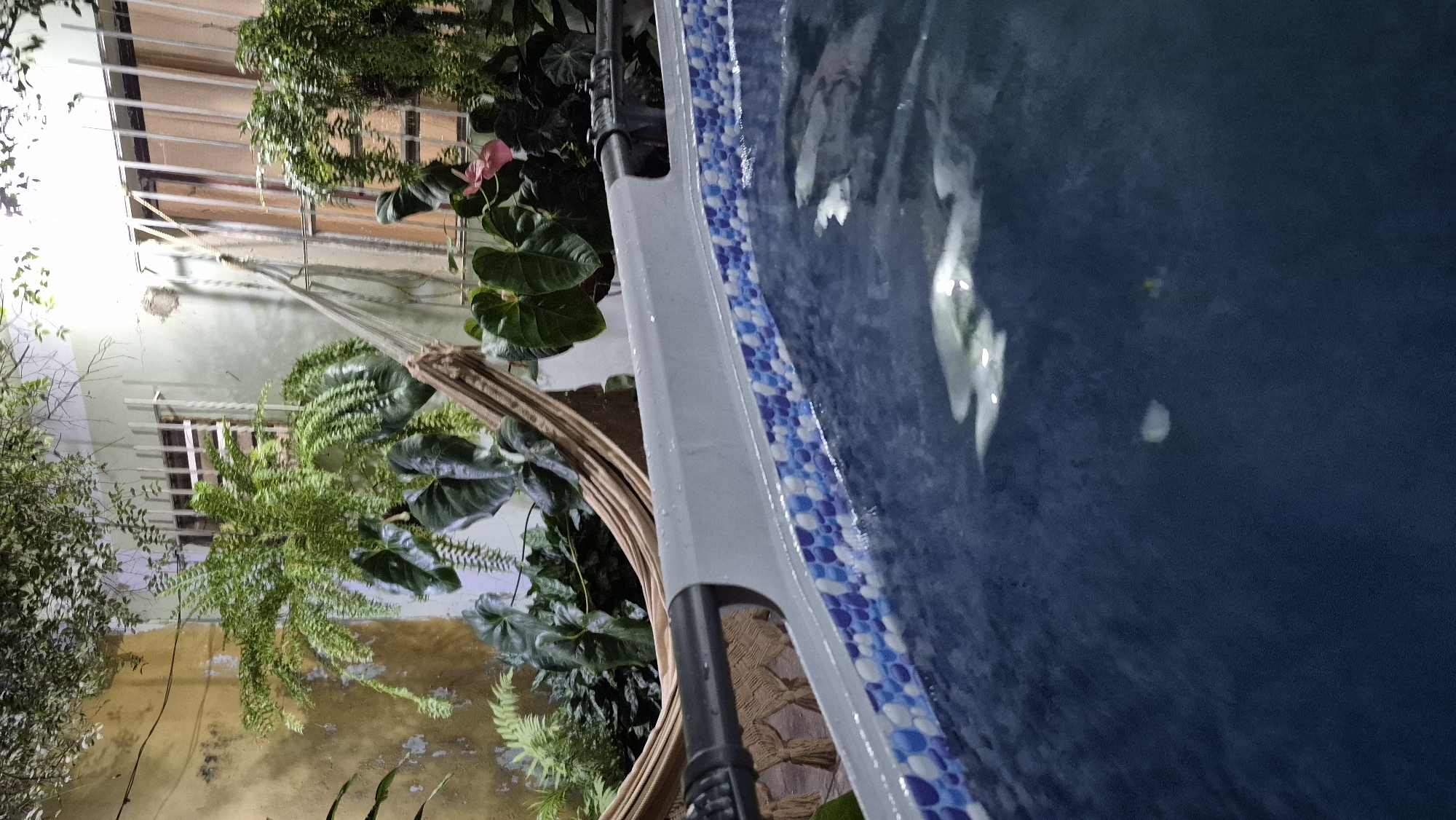 Nighttime view of residential pool area in Tinaquillo, Venezuela
