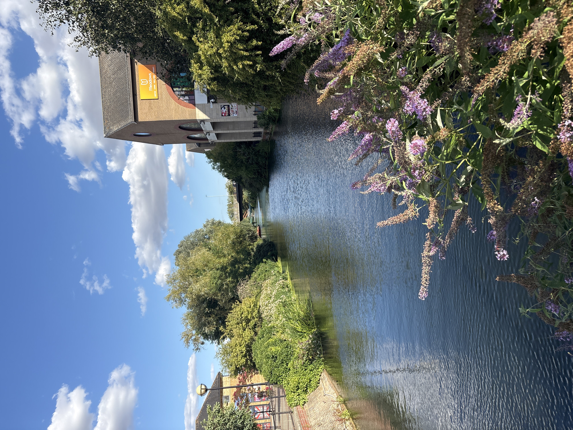 Sunny afternoon along the River Chelmer in Chelmsford