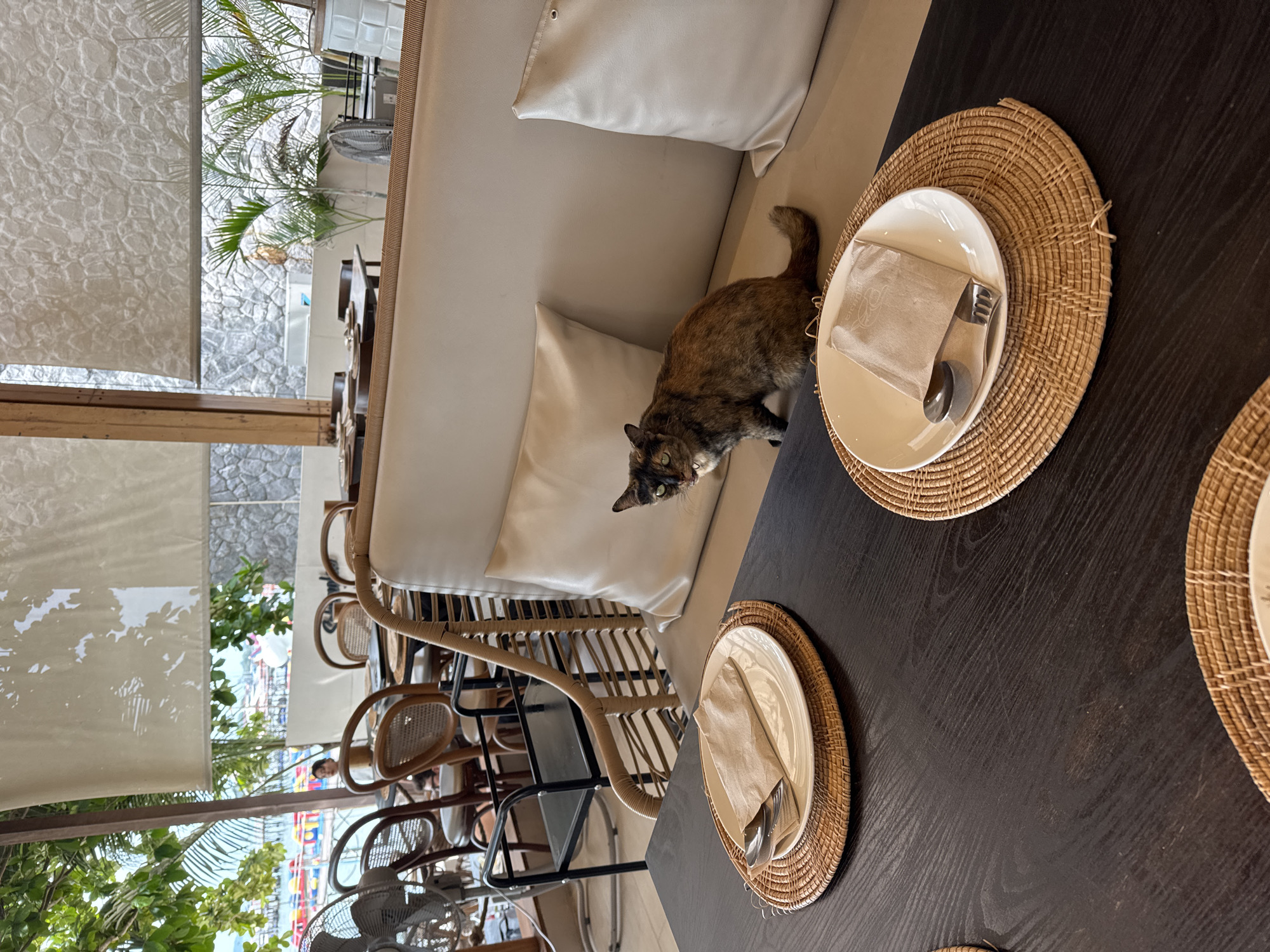 Morning scenes captured at Baan Bang Rak beachfront restaurants