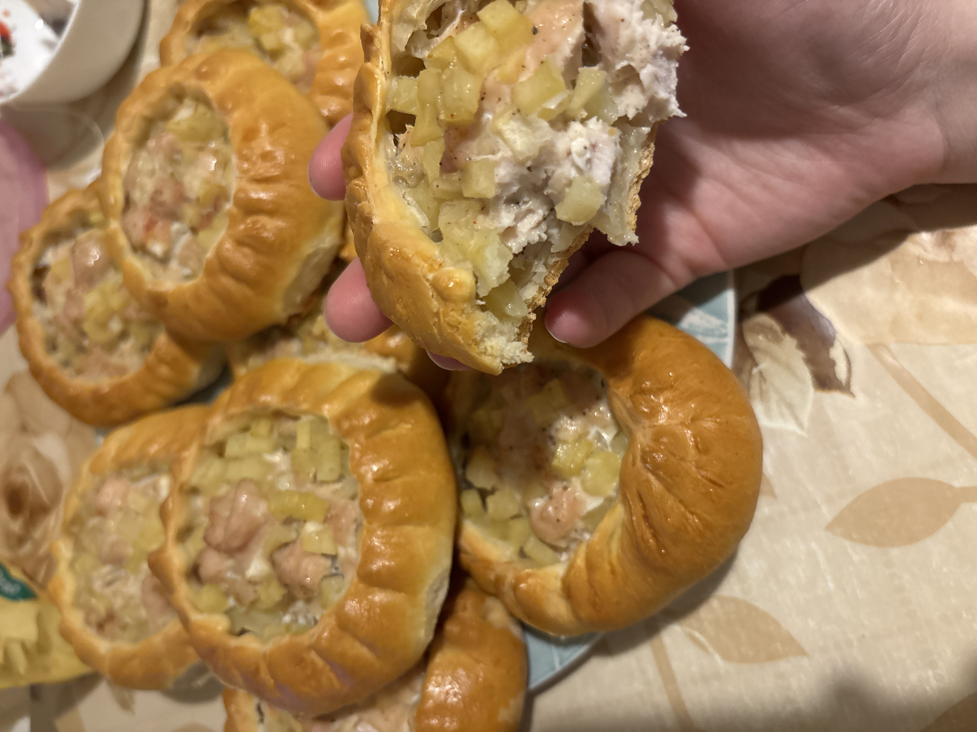 Person enjoys savory pastries in Khimki, Russia