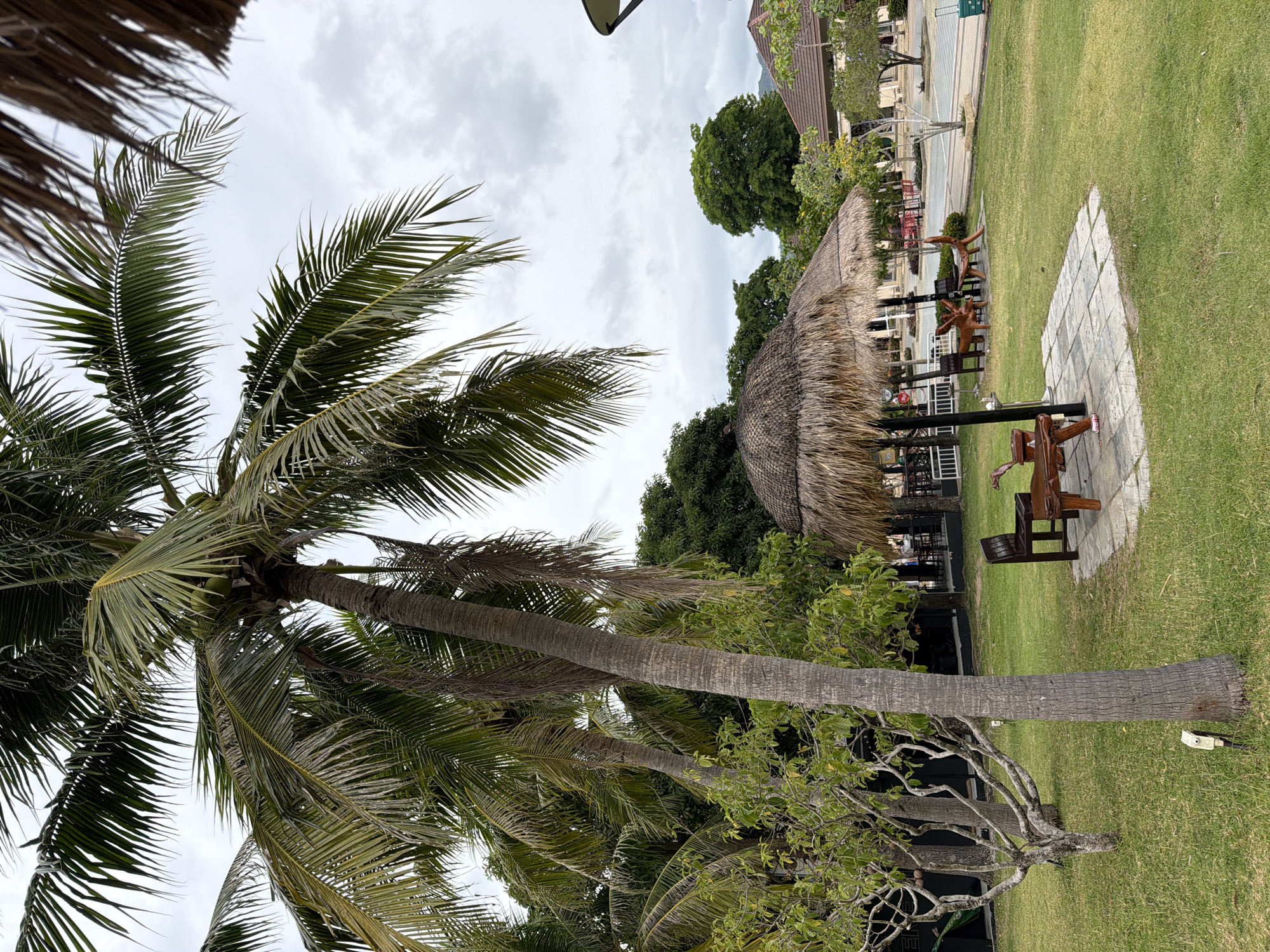 Ko Samui ferry terminal, selfies and luggage in tow