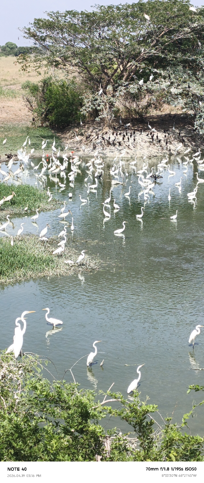 Traveler documents wetland birds, landscape in Cano Negro, Venezuela